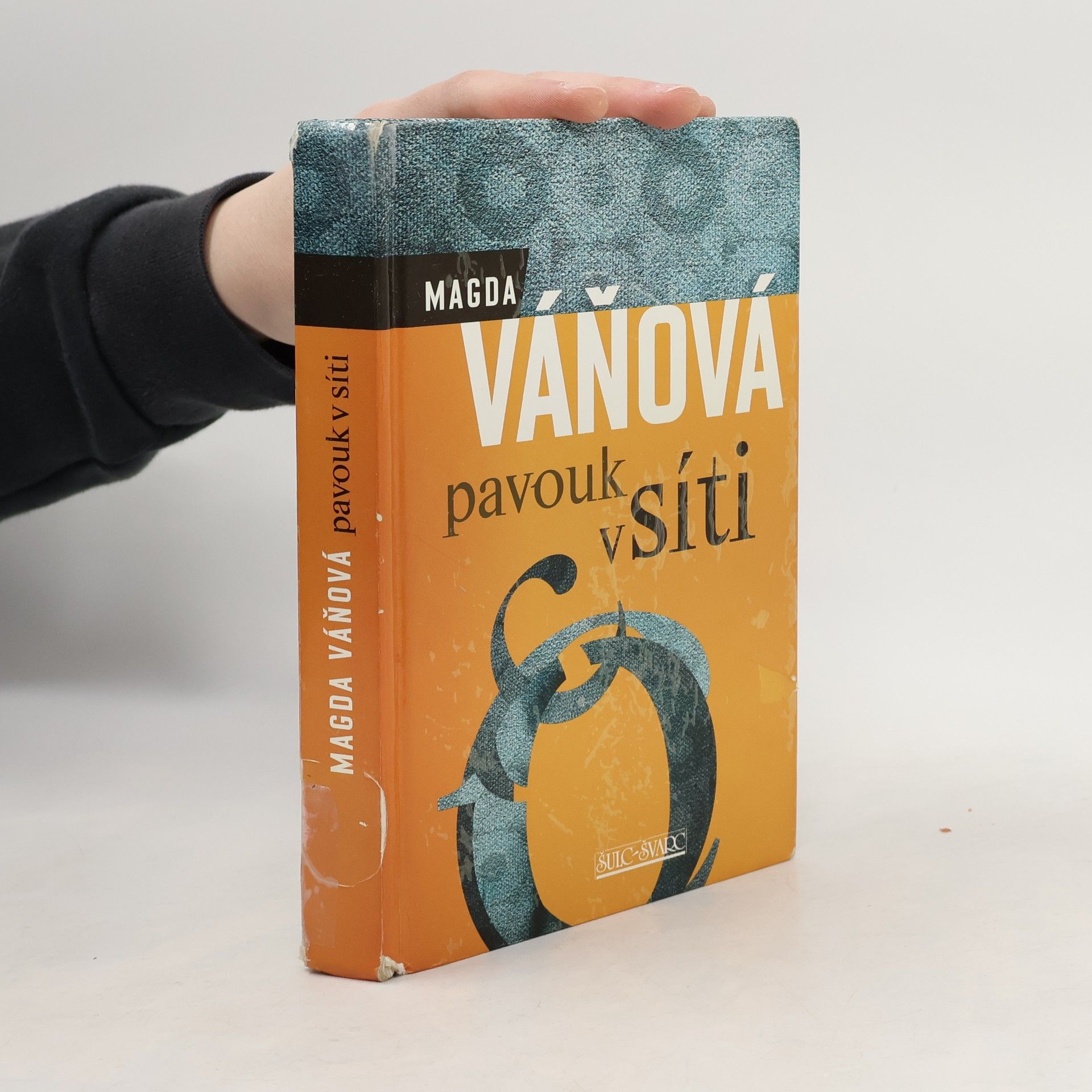 Váňová Magda Pavouk v síti