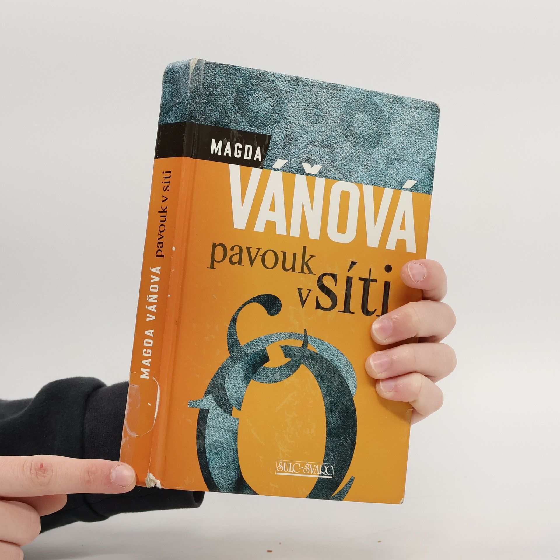 Váňová Magda Pavouk v síti