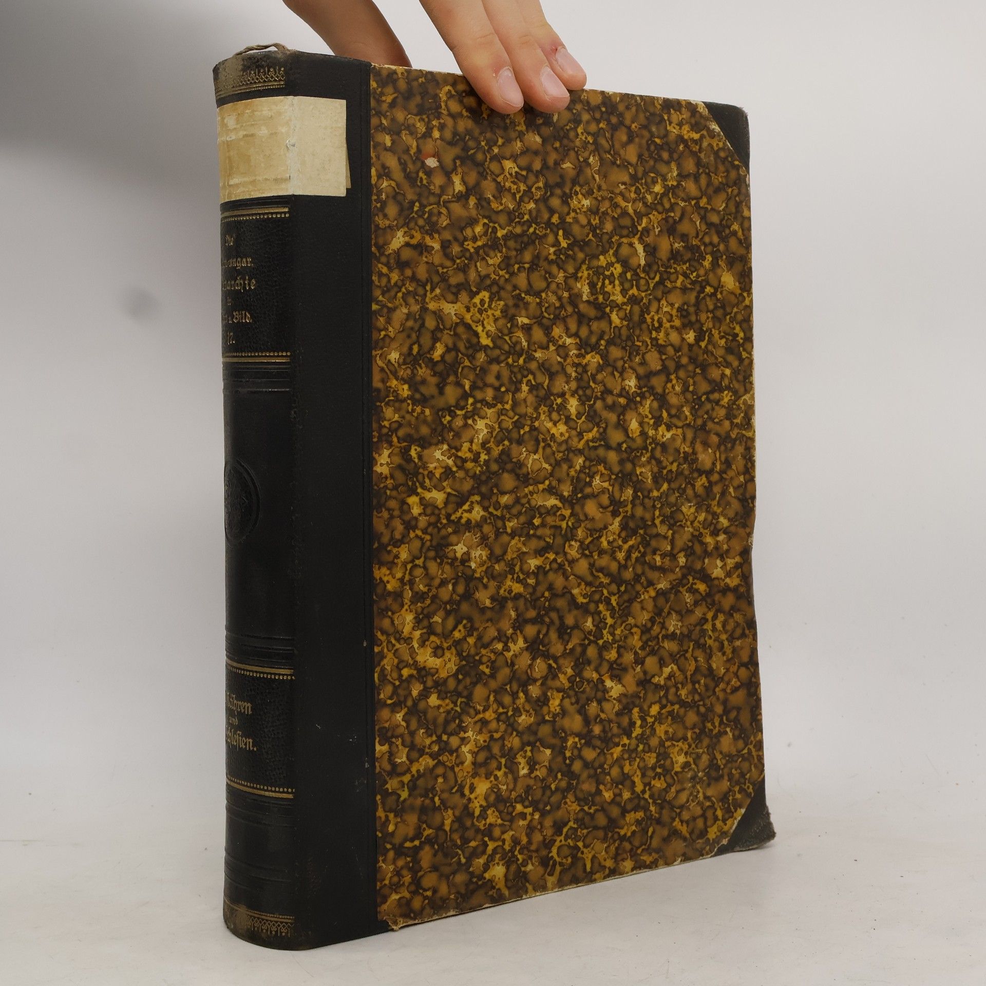 Kolektiv autorů Die österreichisch-ungarische Monarchie in Wort und Bild