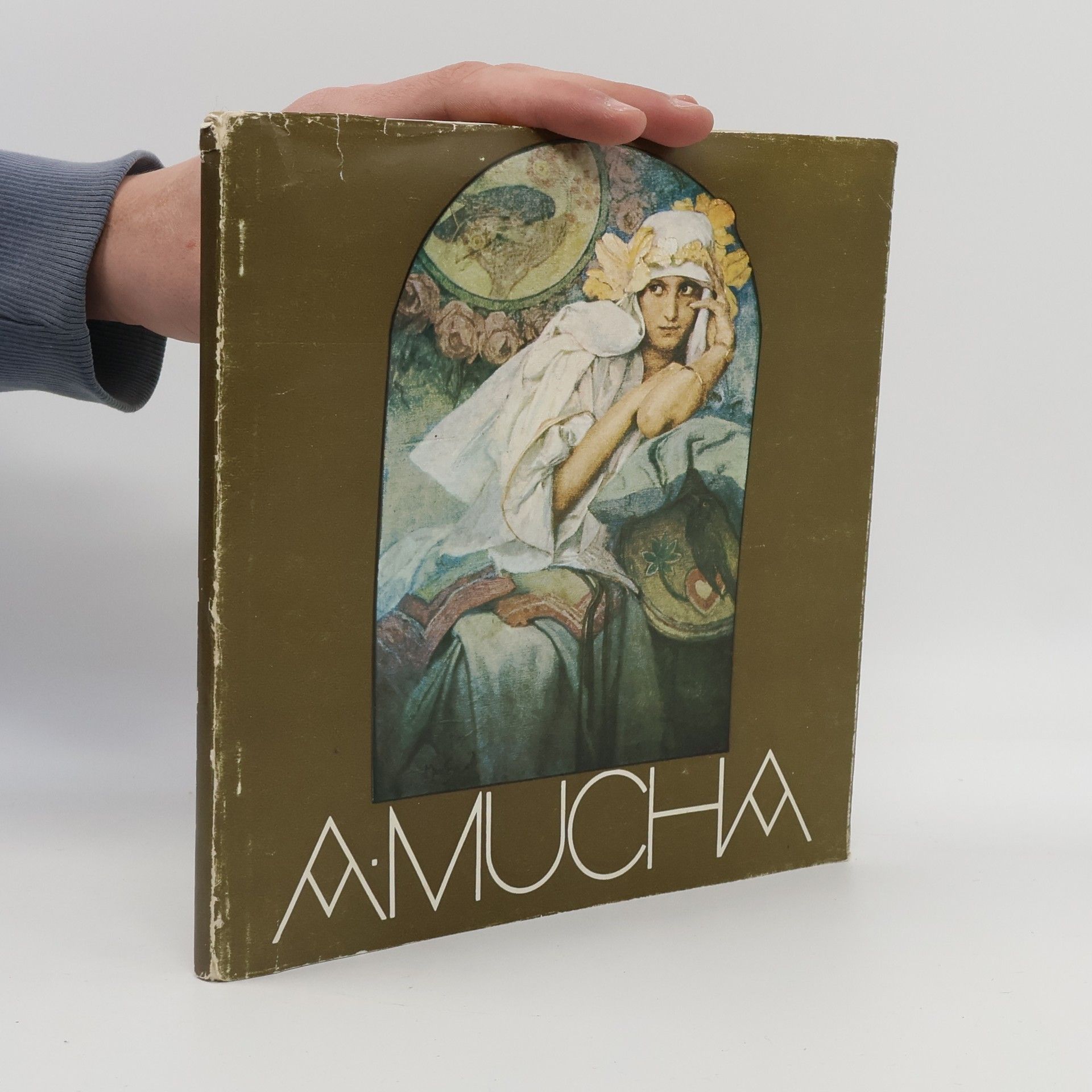 Kolektiv autorů A. Mucha