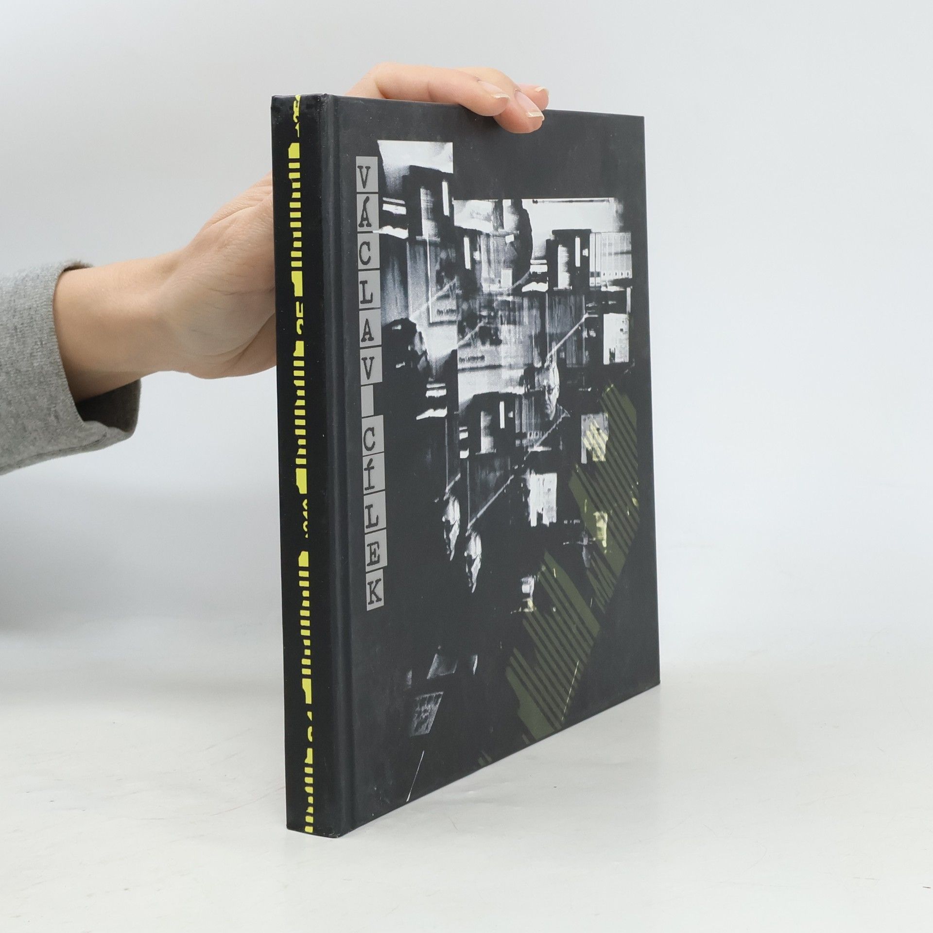 Ivan Zubaľ Václav Cílek