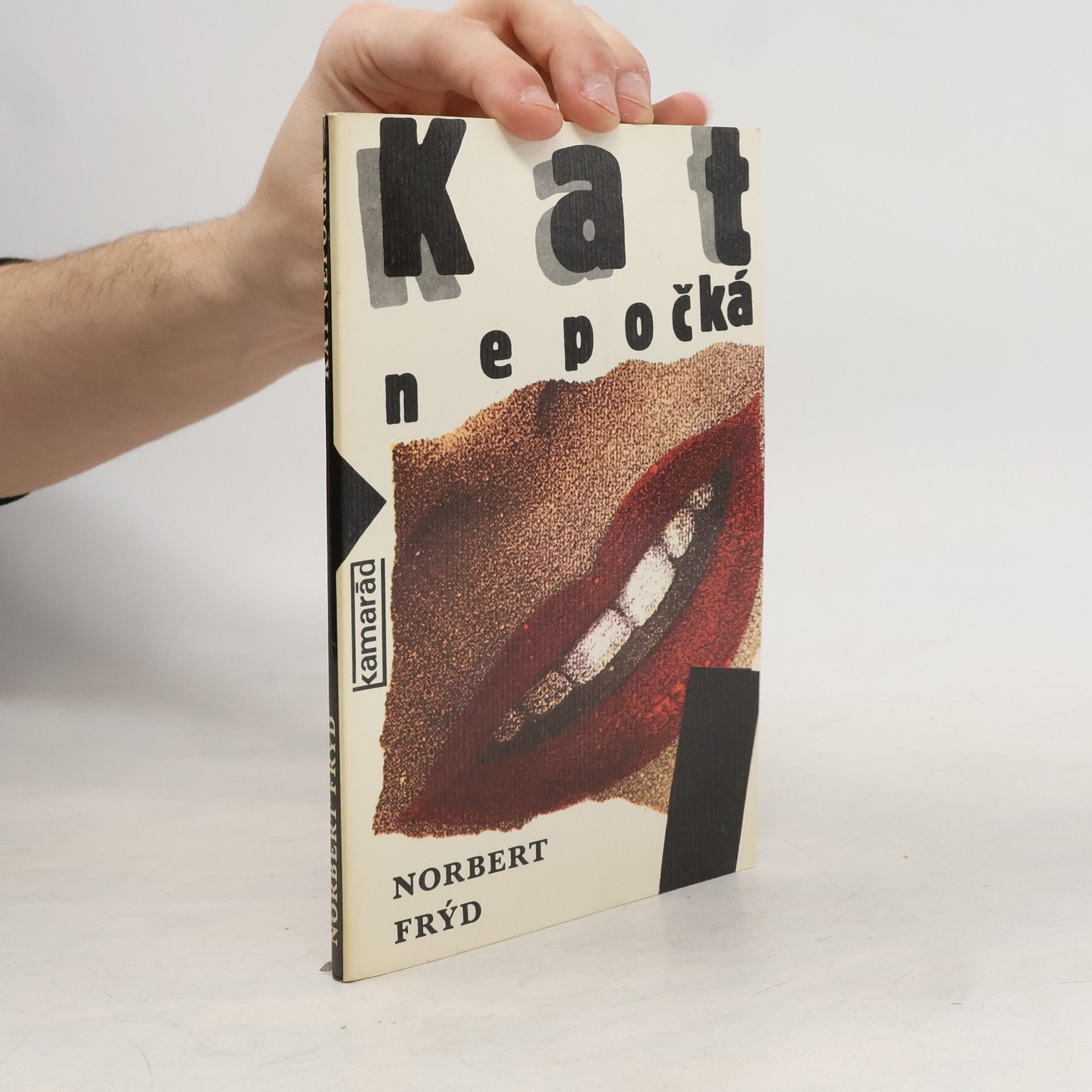 Norbert Frýd Kat nepočká