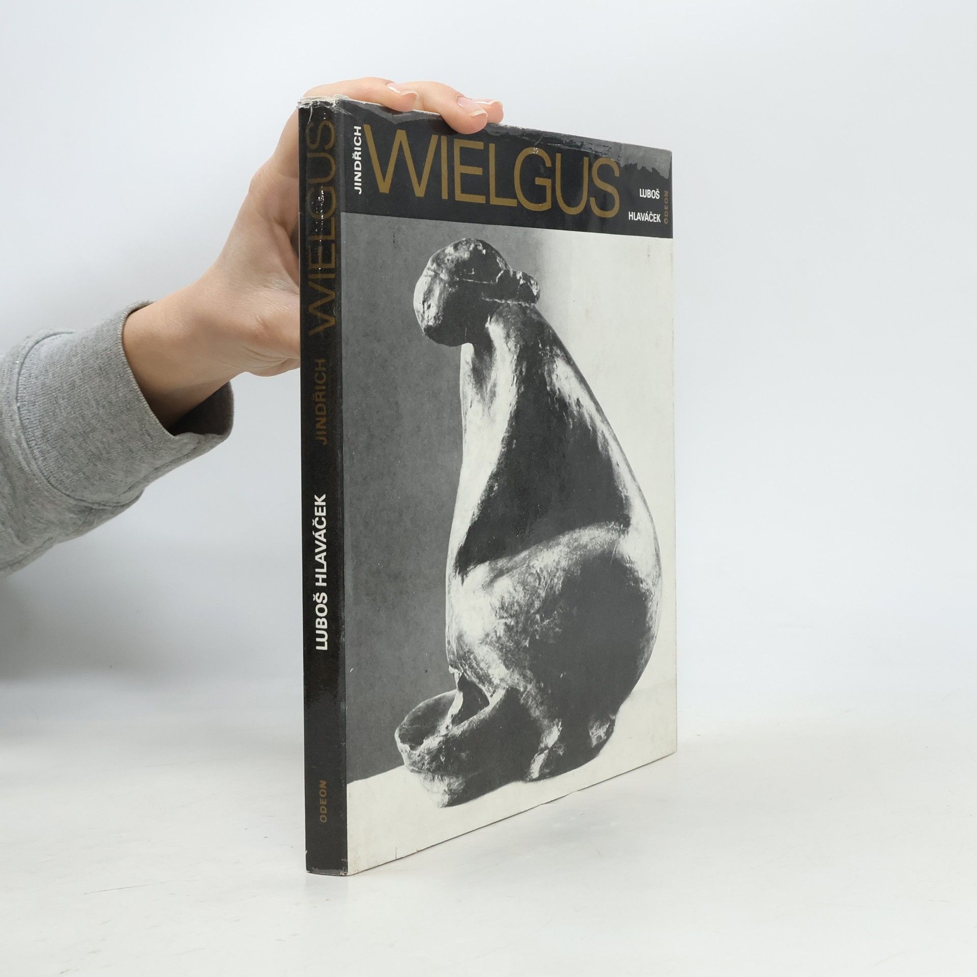 Lubos Hlavácek Umělecké profily VI. Jindřich Wielgus