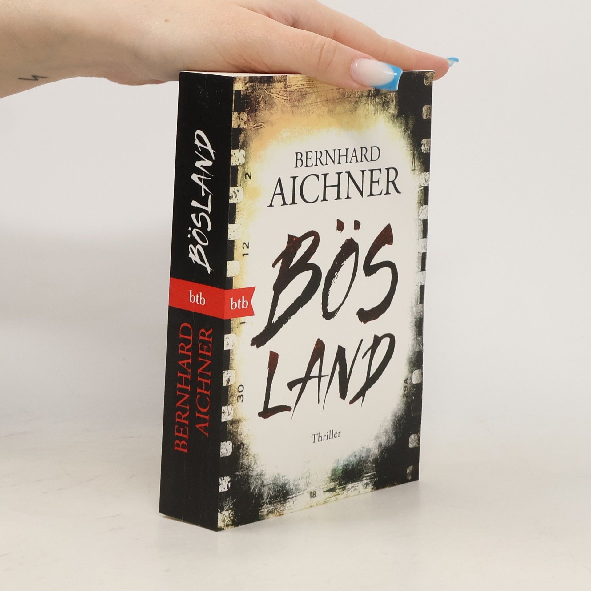 Bernhard Aichner Bösland