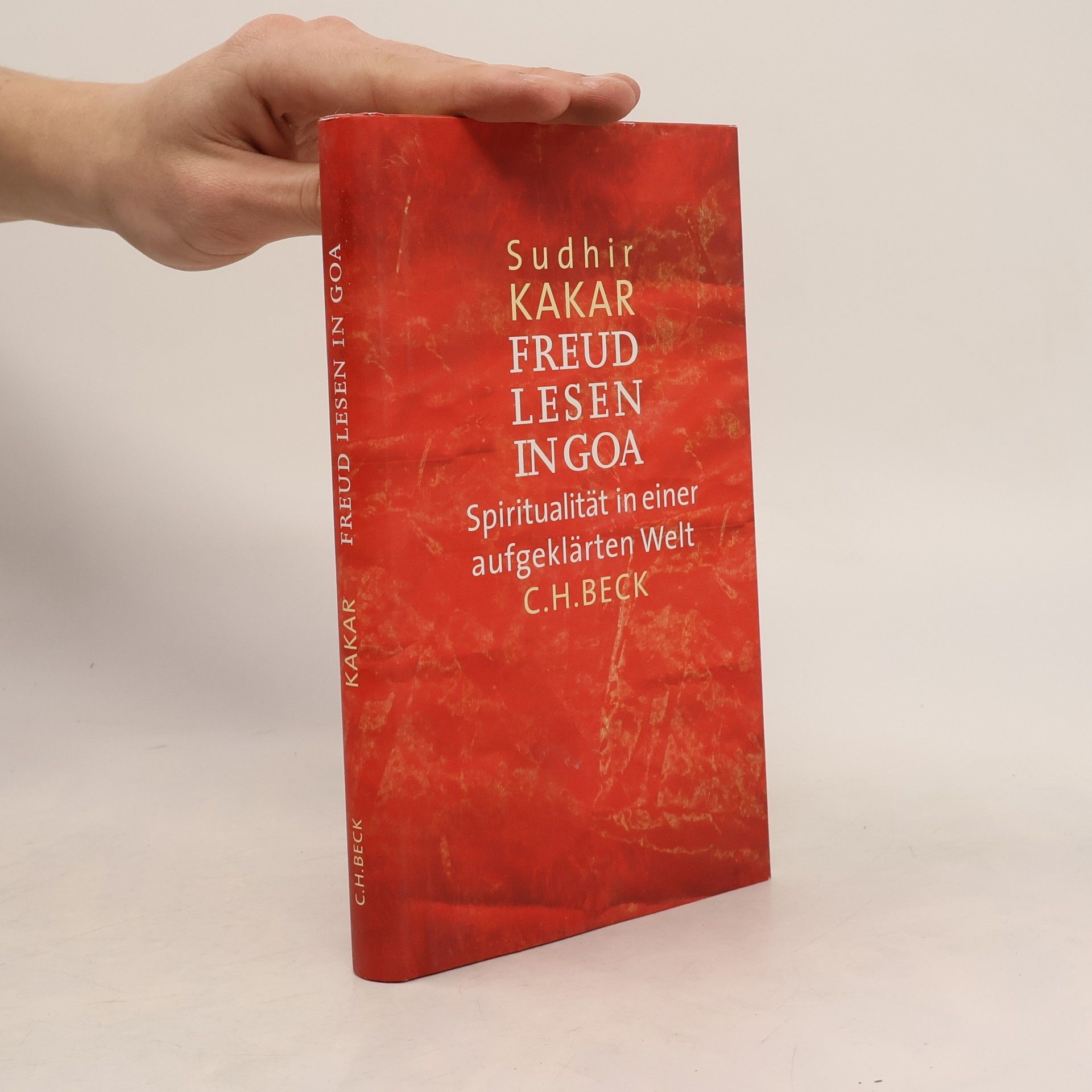 Freud lesen in Goa