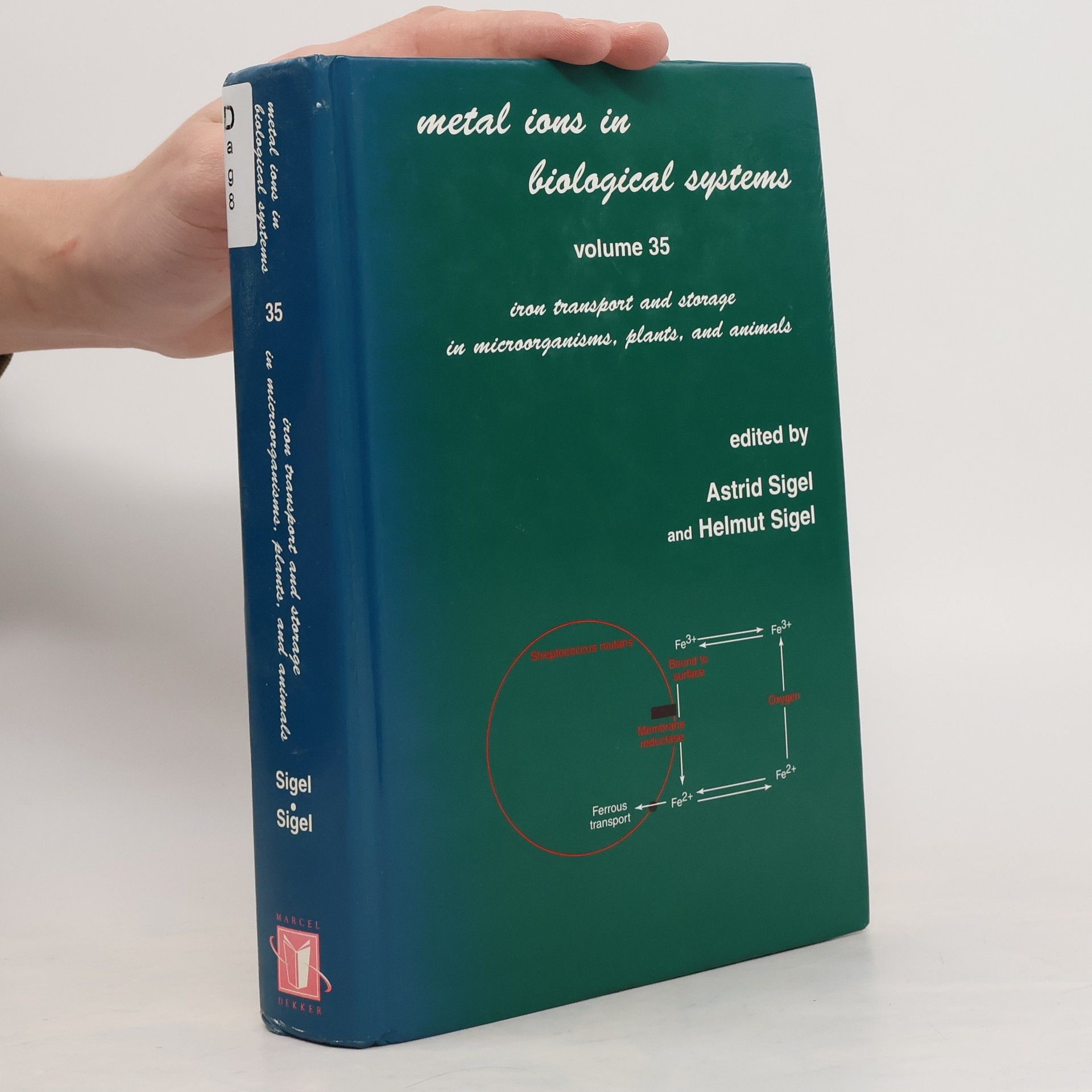 Astrid Sigel Metal Ions in Biological Systems 35. Iron Transport and Storage in Microorganisms, Plants, and Animals