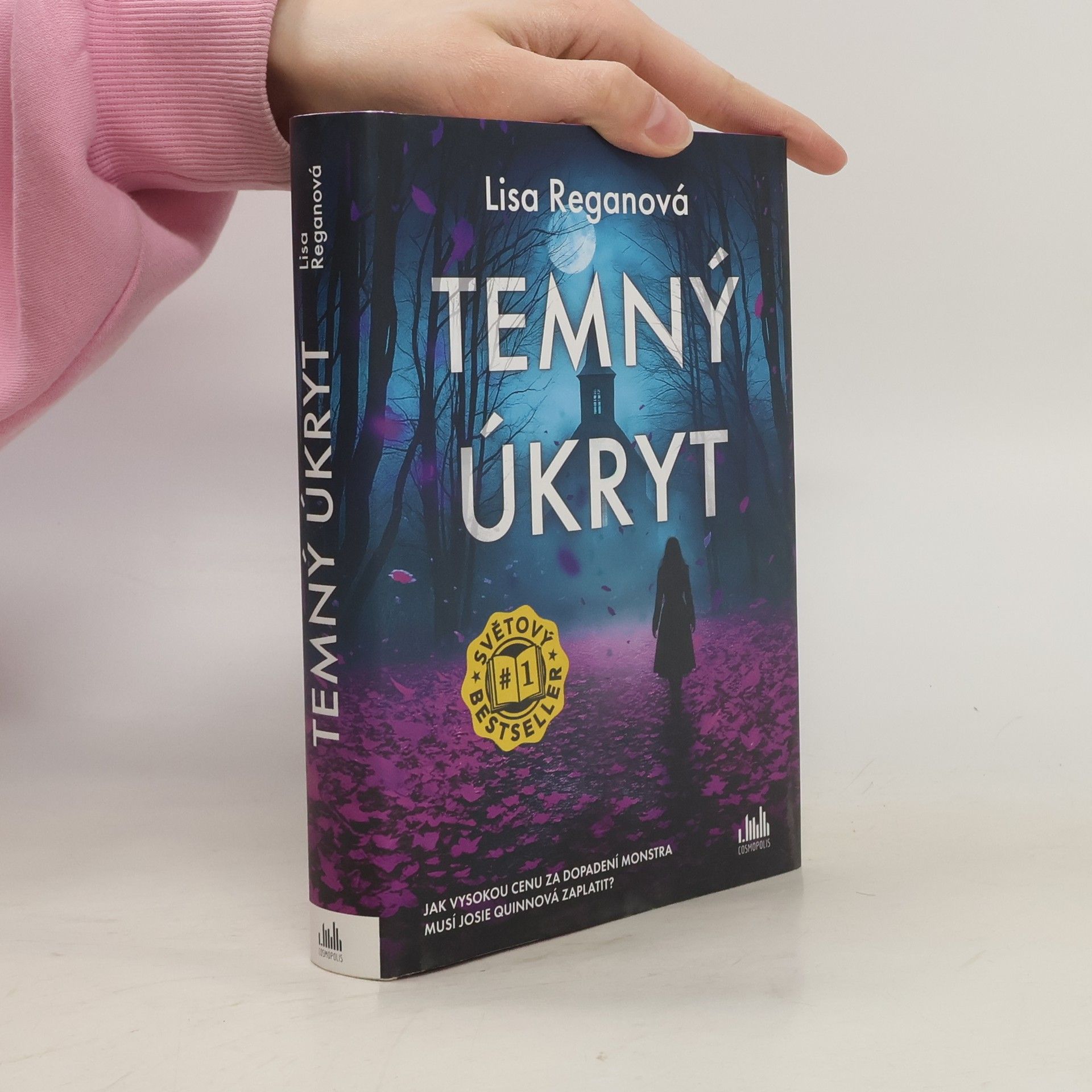 Lisa Regan Temný úkryt