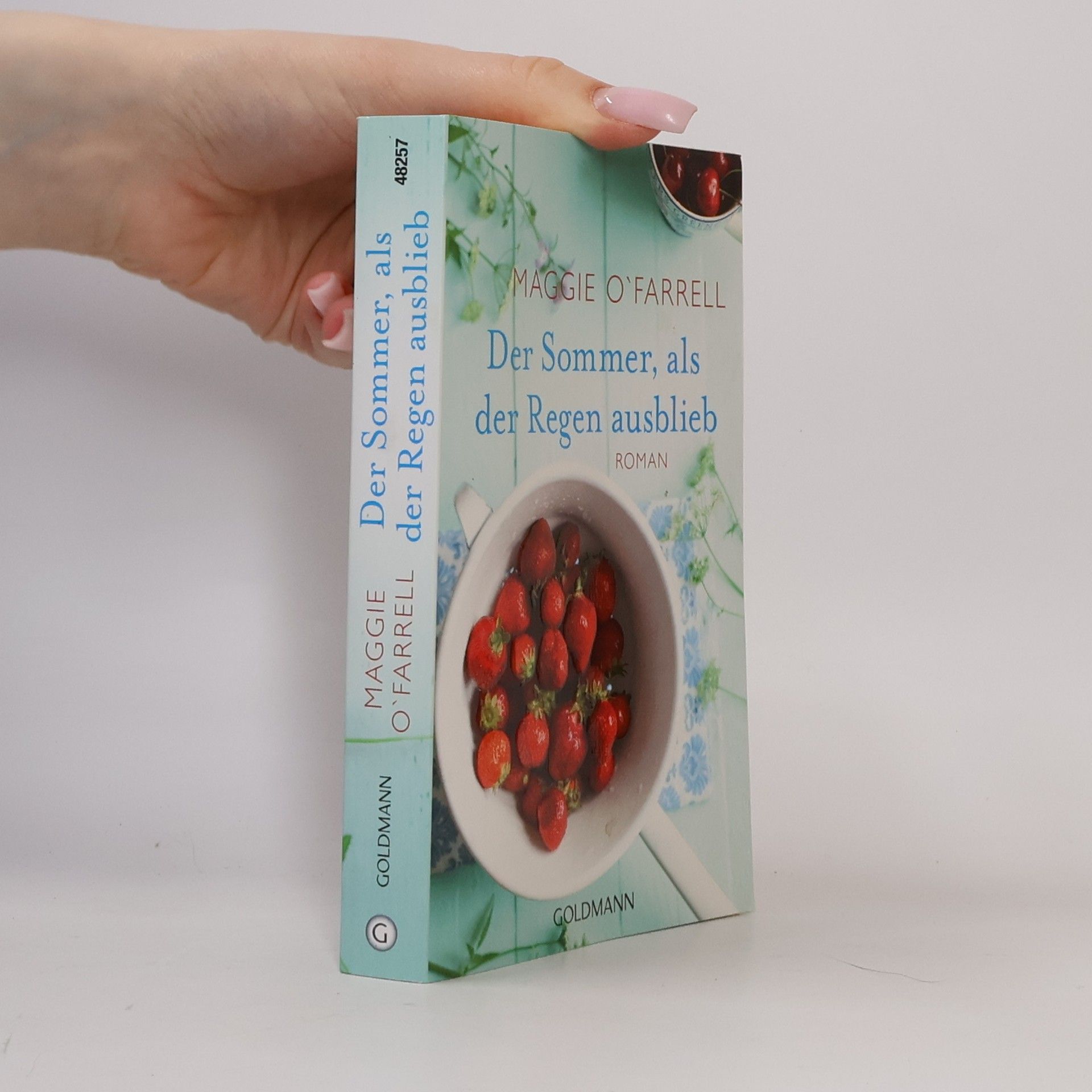 Maggie O. Farrell Der Sommer, als der Regen ausblieb