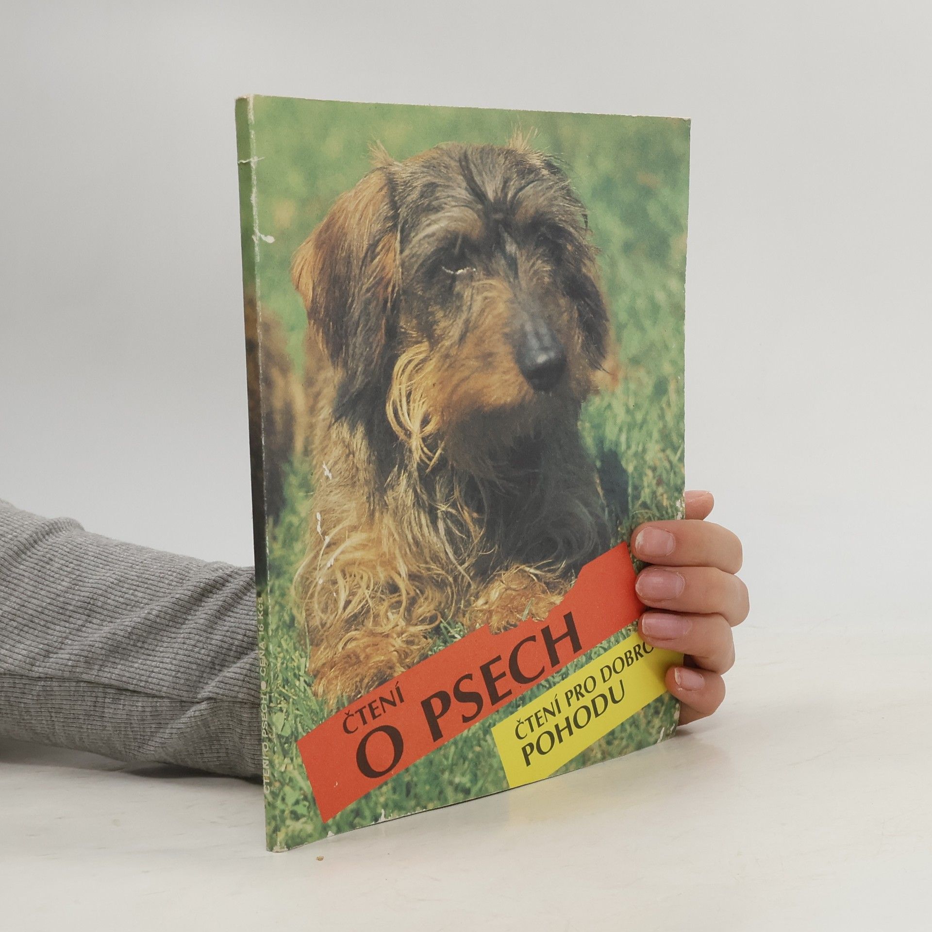 Kolektiv autorů Čtení o psech