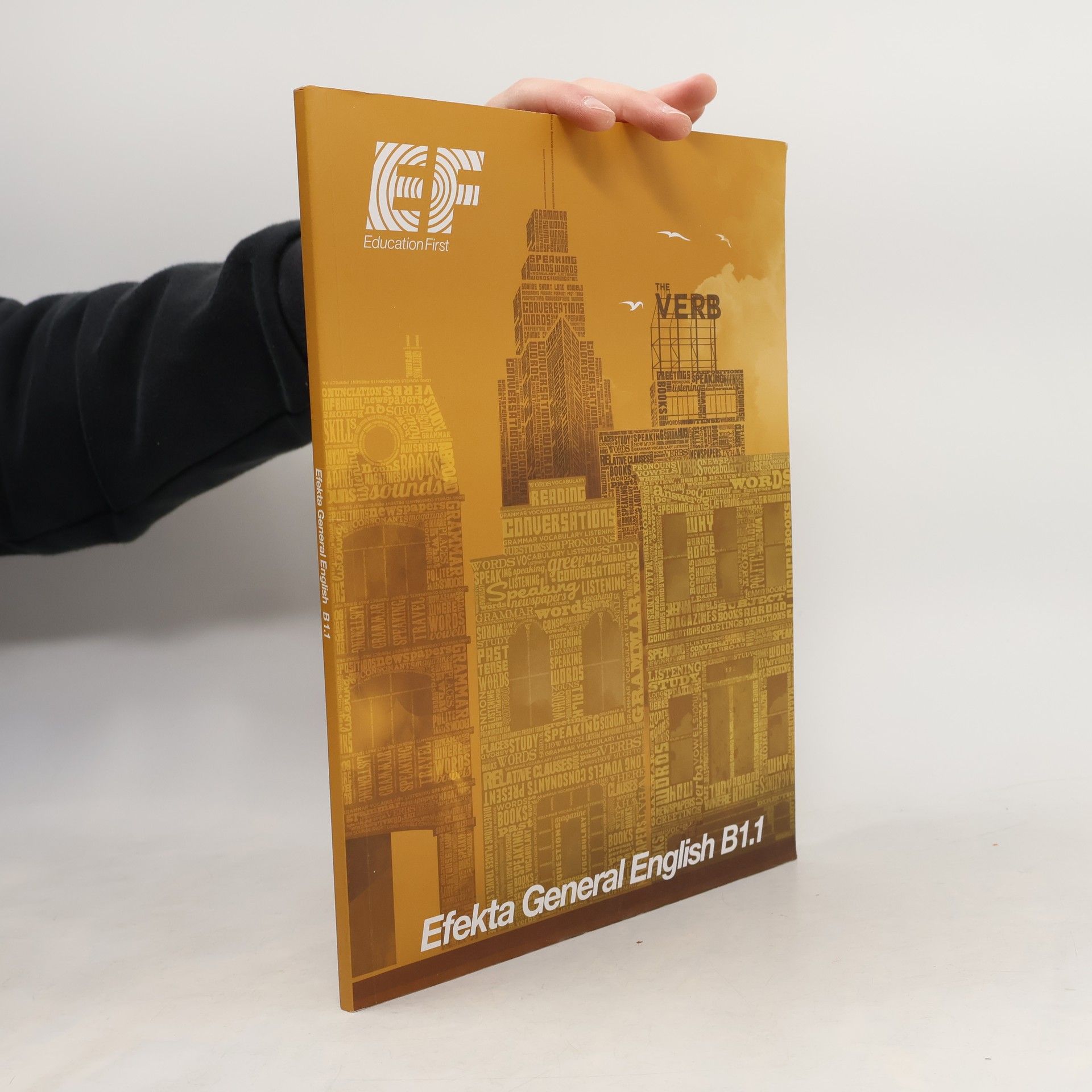 Auteurscollectief Efekta General English B1.1