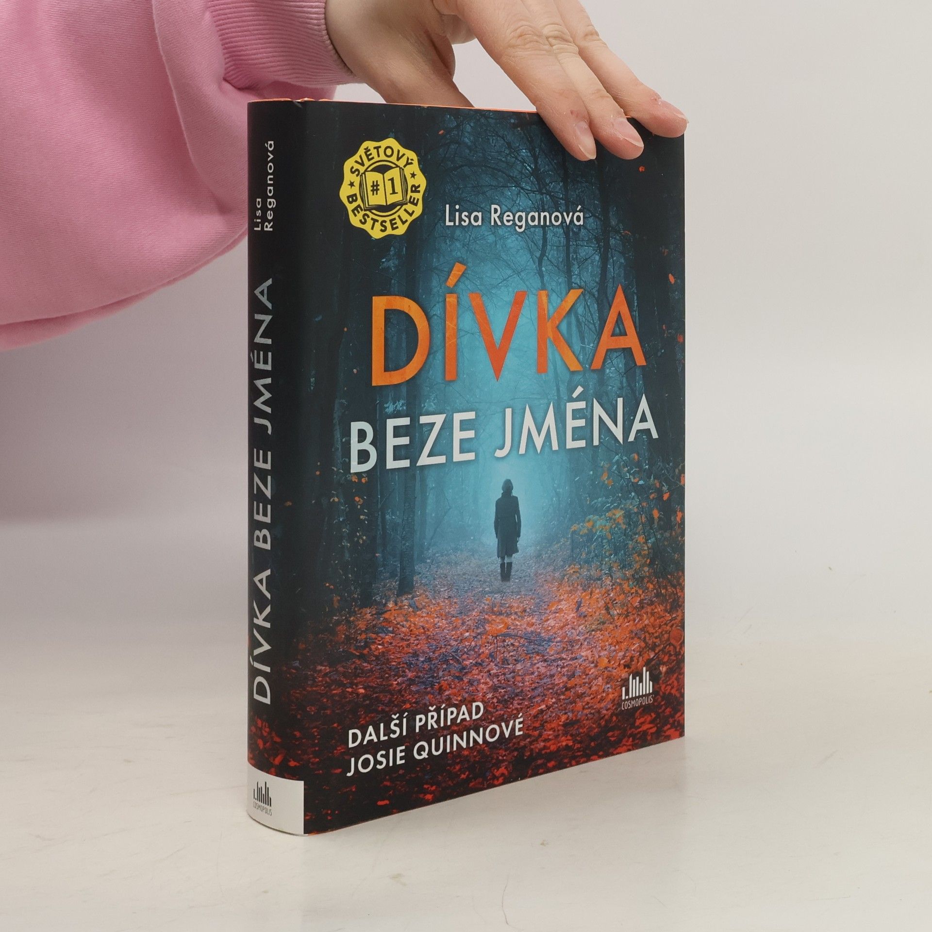 Lisa Regan Dívka beze jména: Další případ Josie Quinnové