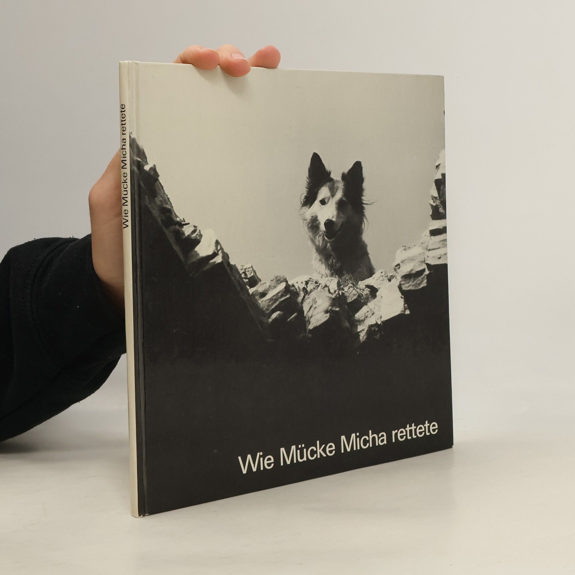 Christiane Riehm Wie Mücke Micha rettete