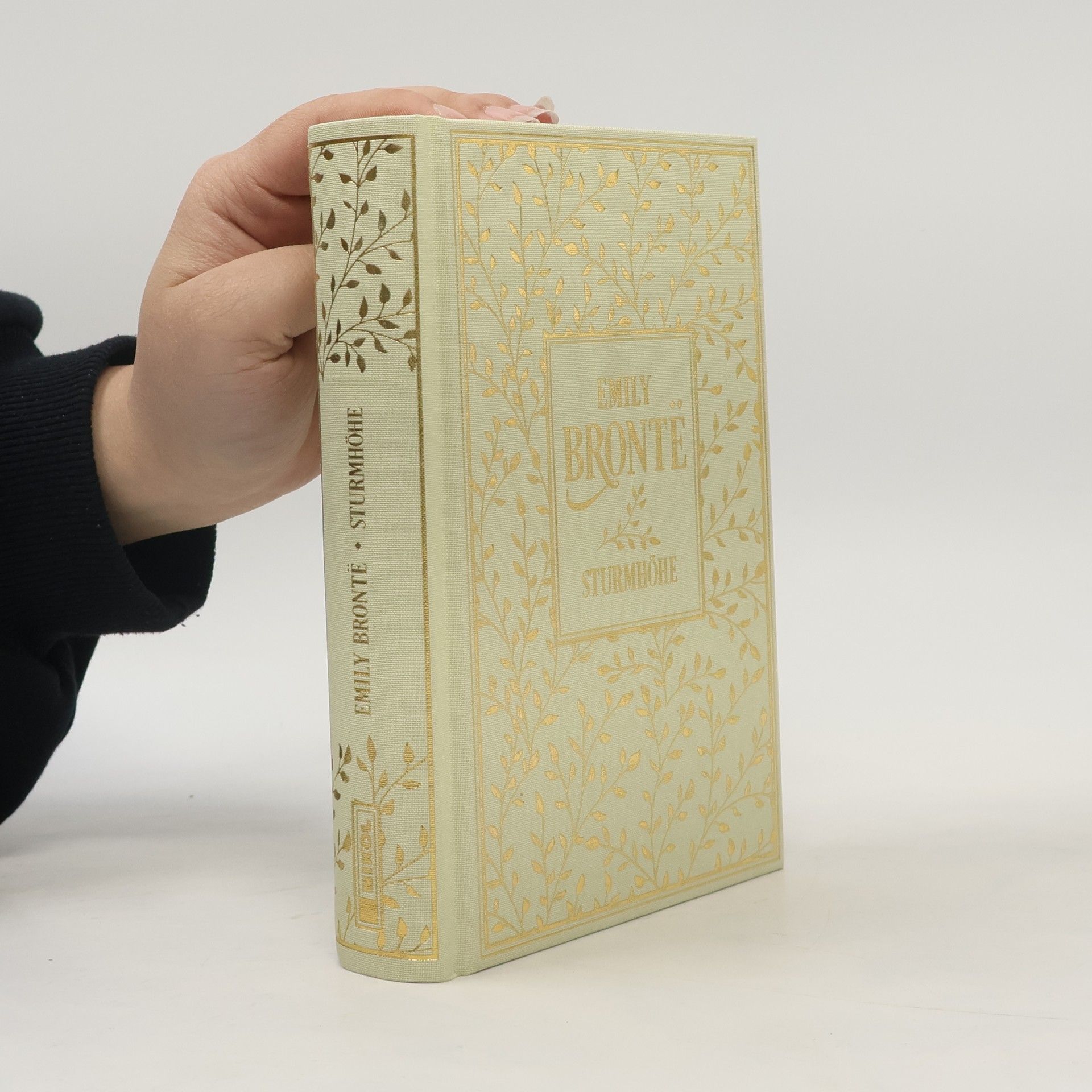 Emily Brontë Sturmhöhe