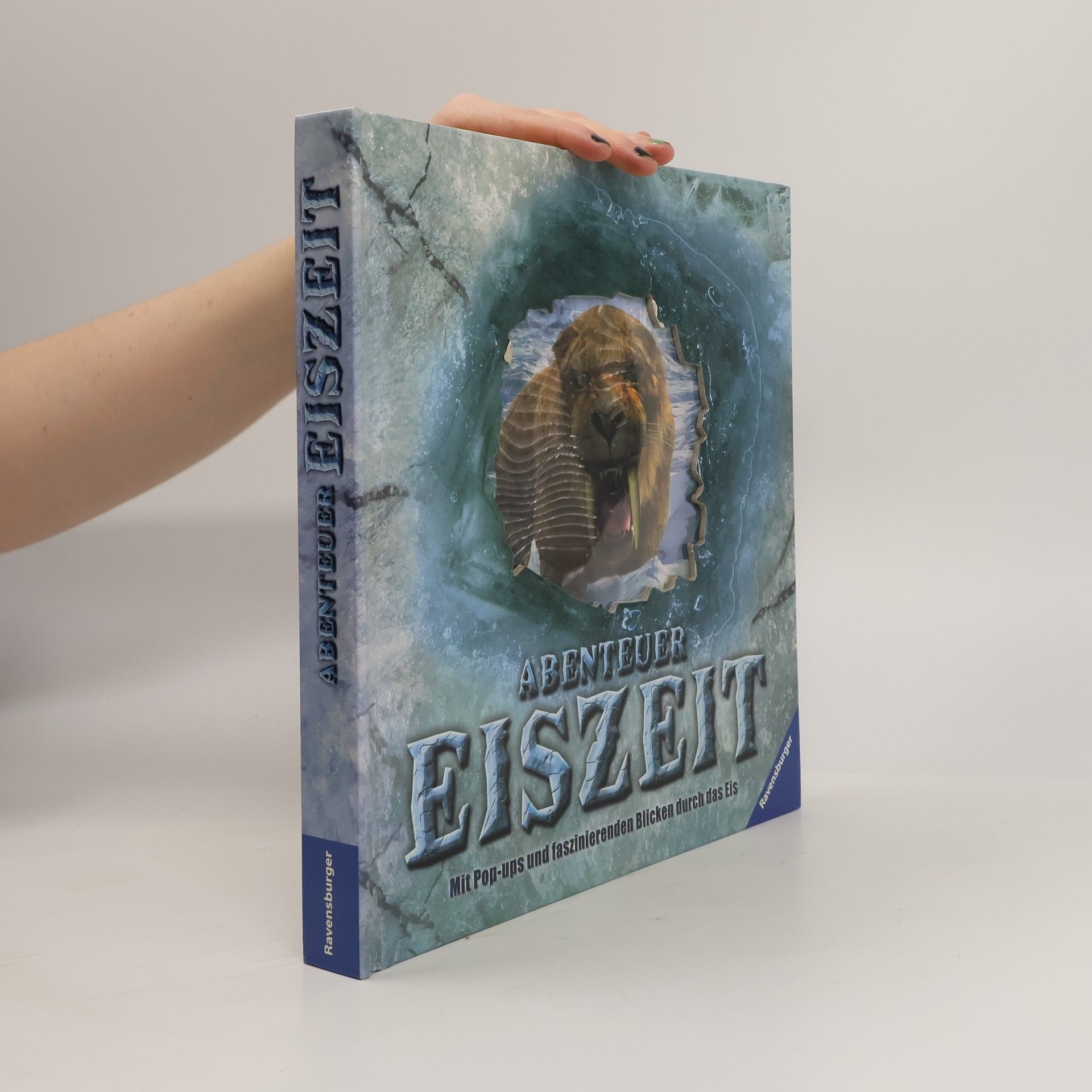 Stewart Ross Abenteuer Eiszeit