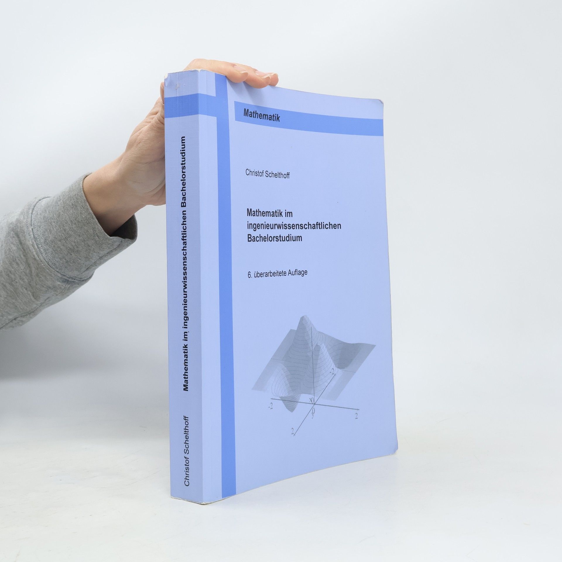 Christof Schelthoff Mathematik im ingenieurwissenschaftlichen Bachelorstudium - 6. überarbeitete Auflage