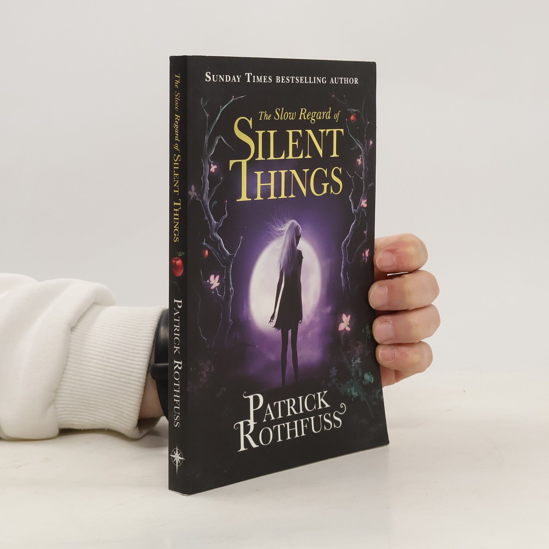 Patrick Rothfuss The Slow Regard of Silent Things