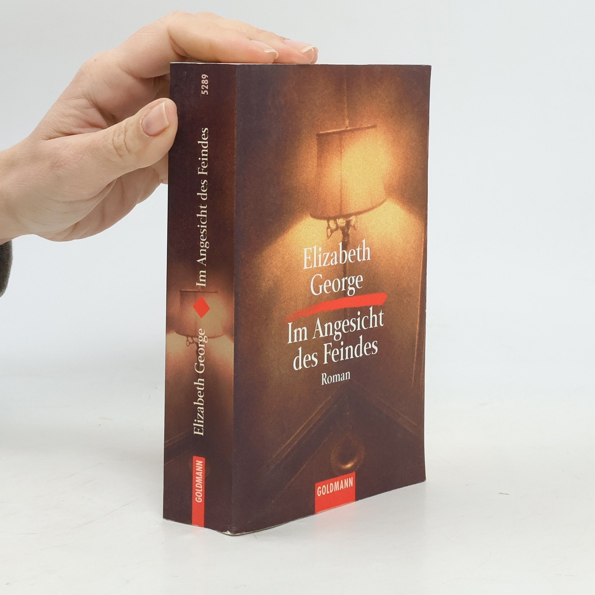 Elizabeth George Im Angesicht des Feindes