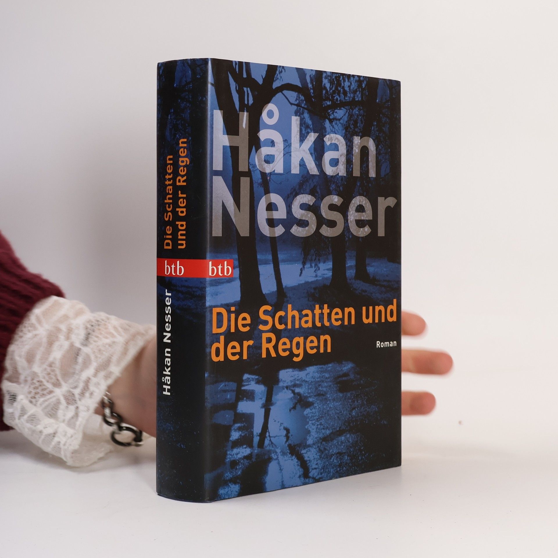 Håkan Nesser Die Schatten und der Regen