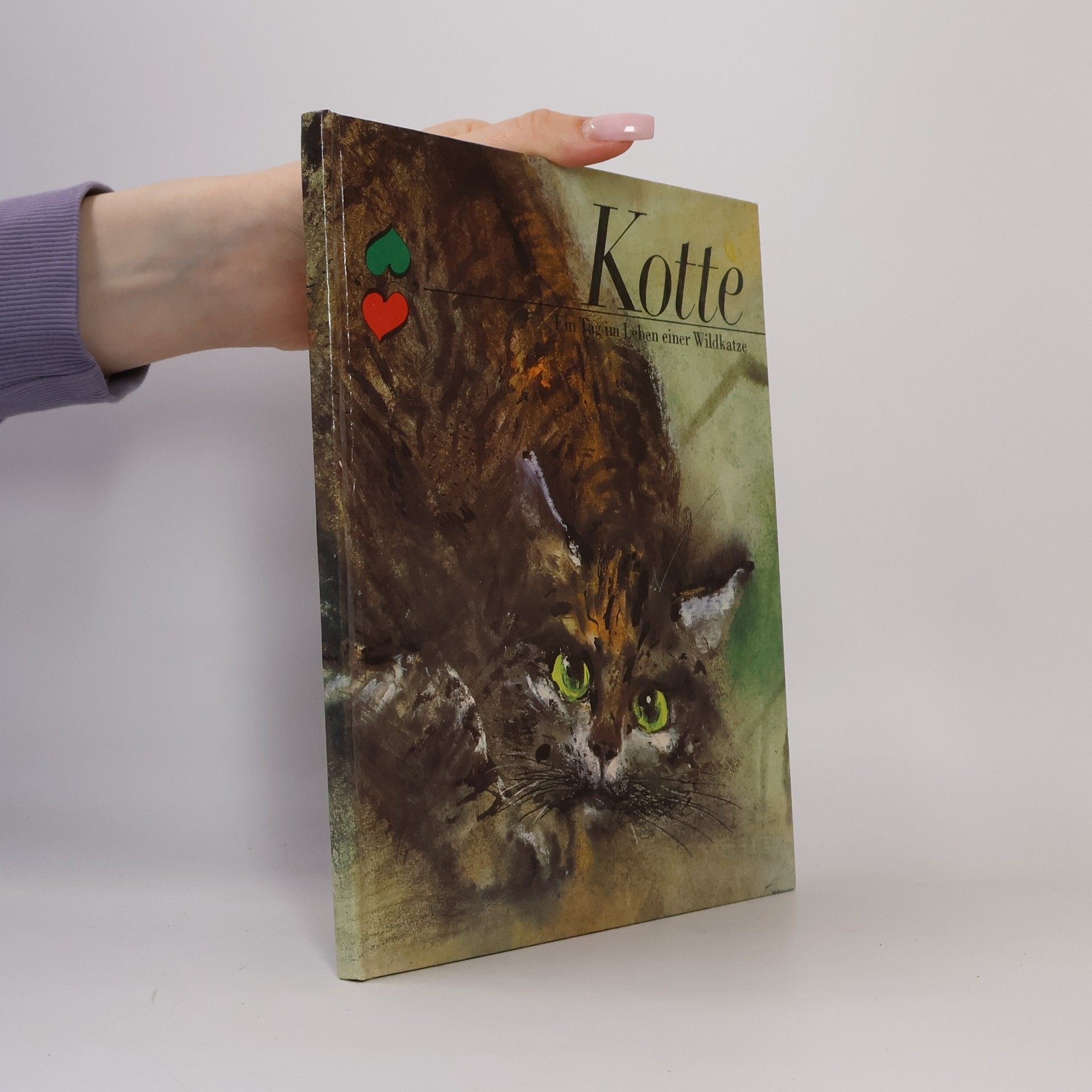 Autorenkollektiv Kotte. Ein Tag im Leben einer Wildkatze.