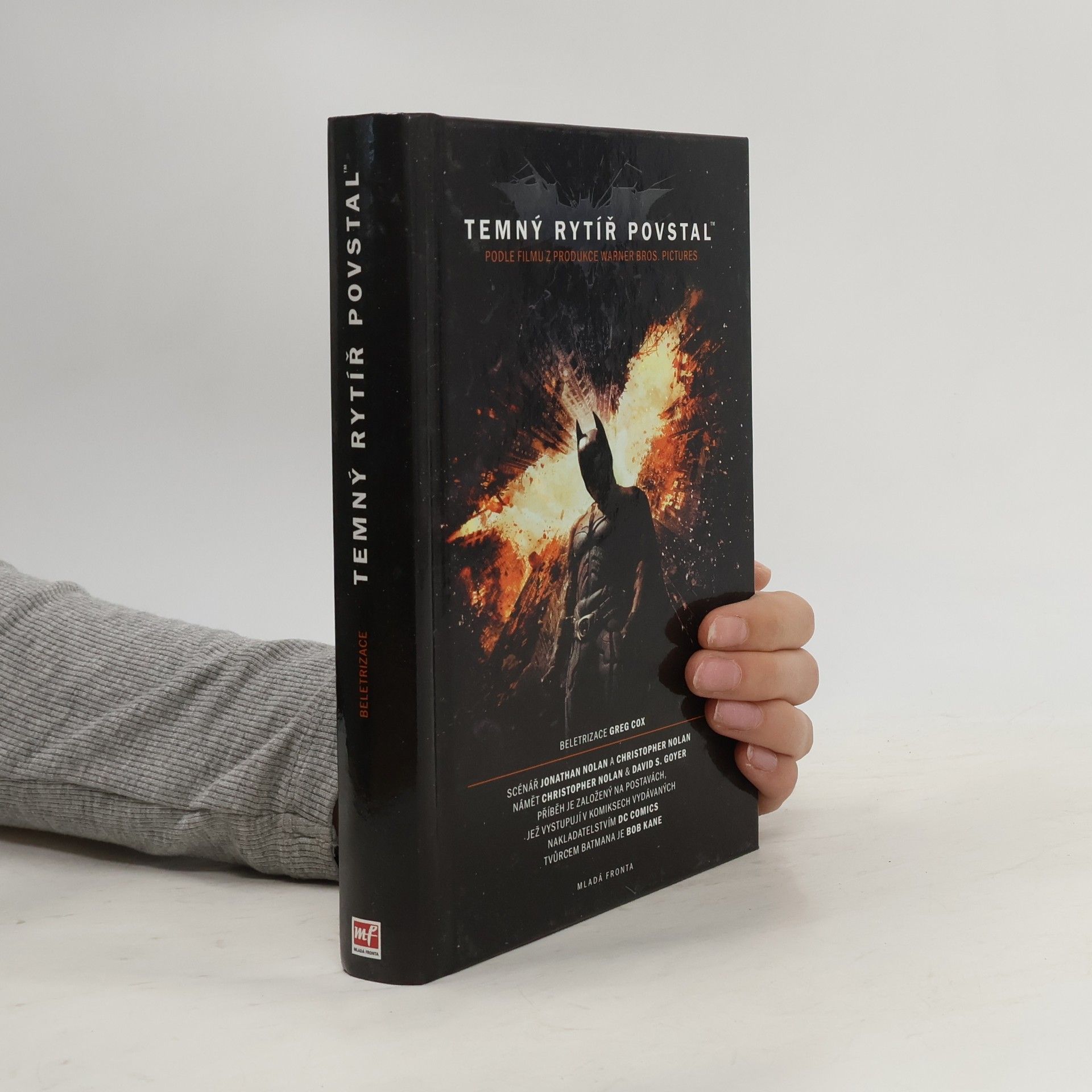 David S. Goyer Temný rytíř povstal: Oficiální beletrizace filmu