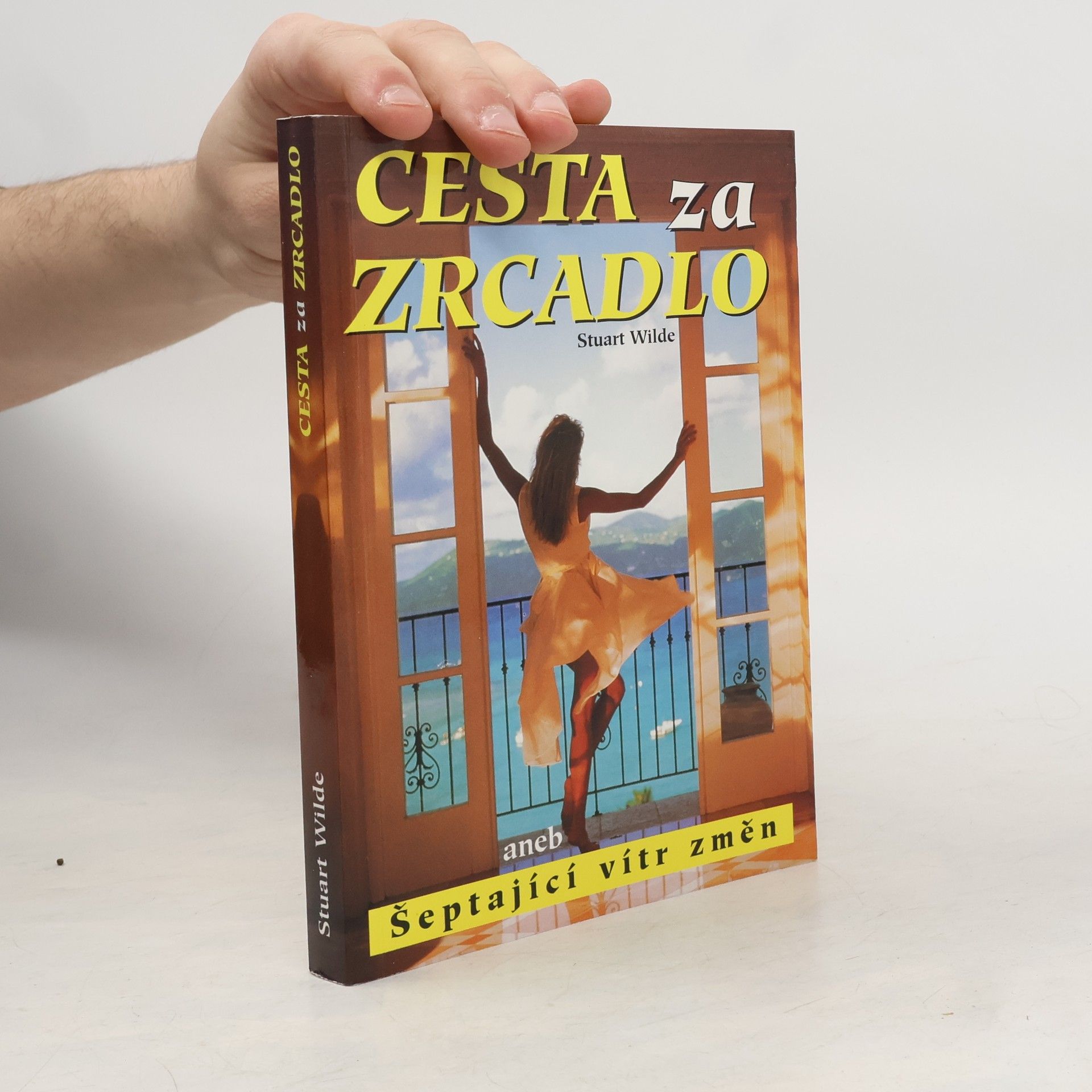 Stuart Wilde Cesta za zrcadlo