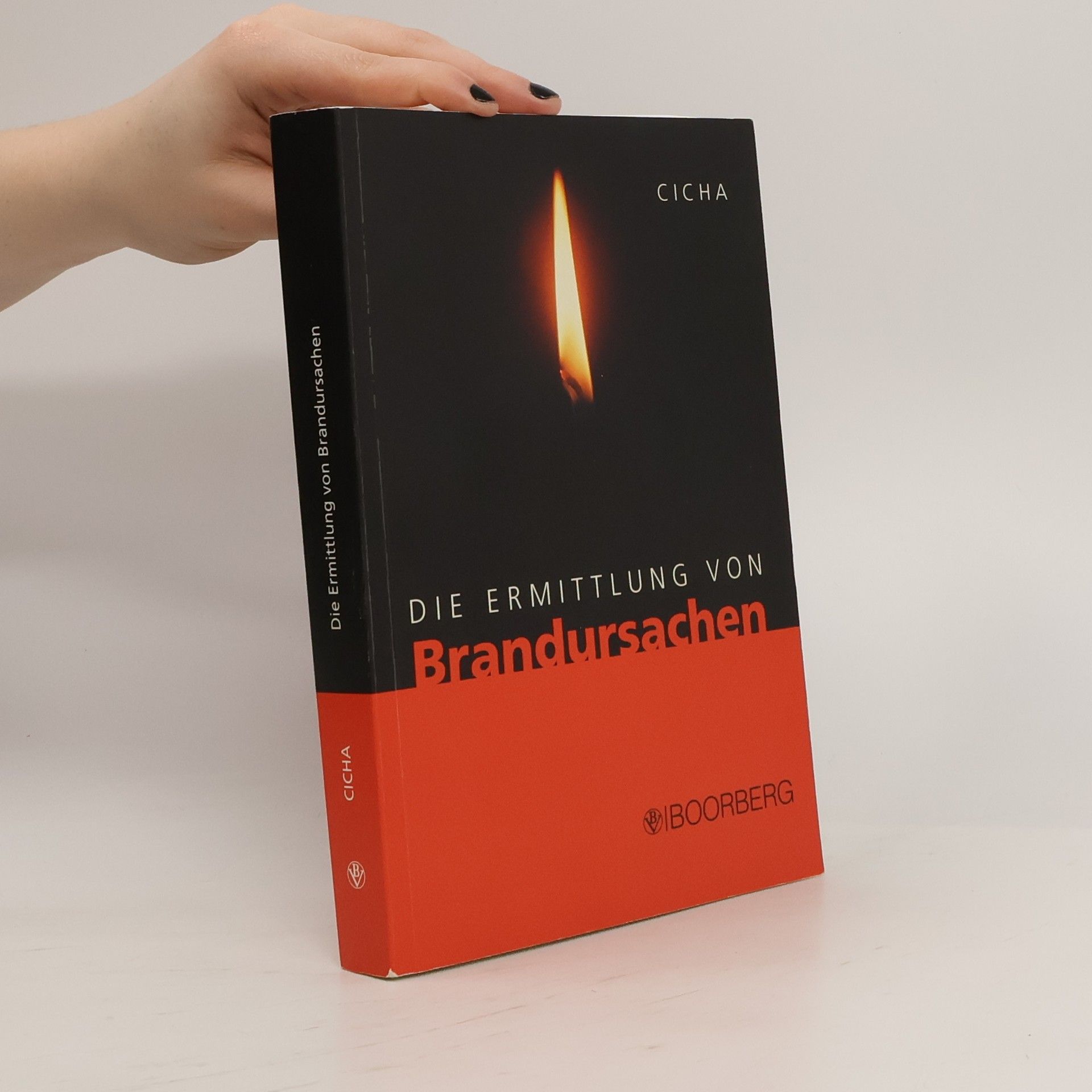 Jörg Cicha Die Ermittlung von Brandursachen