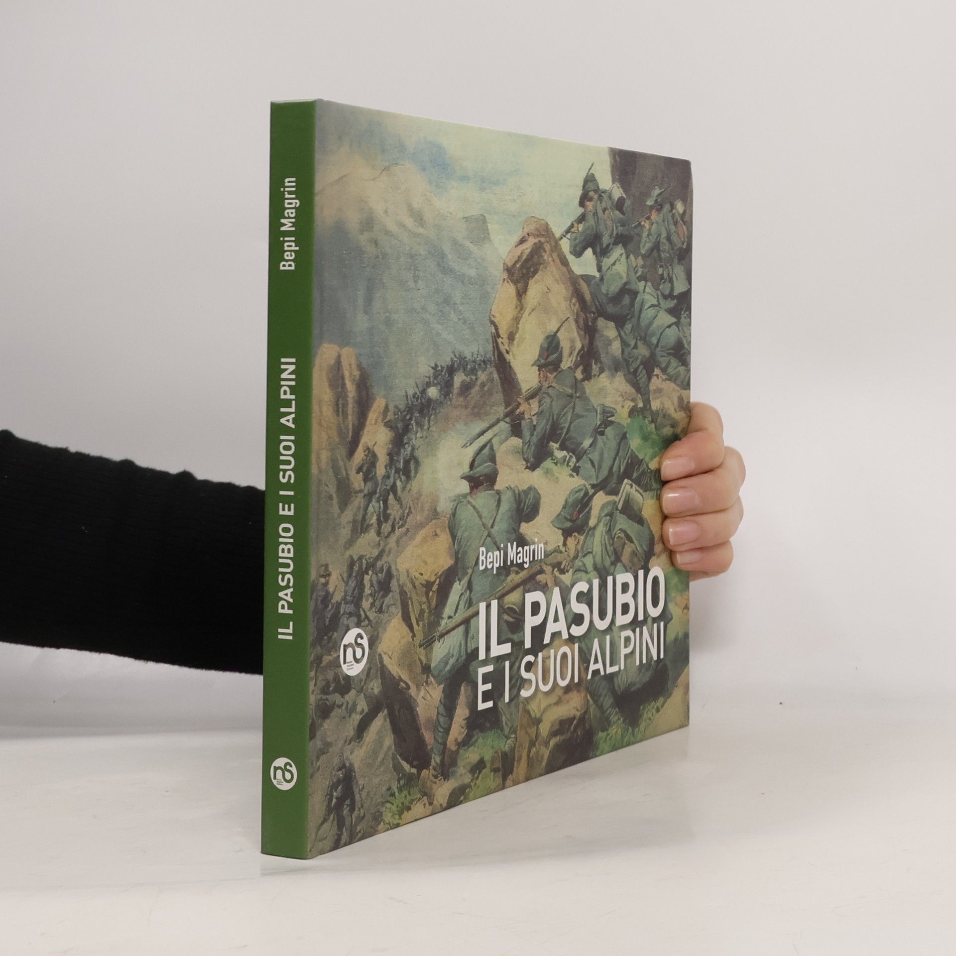 Bepi Magrin Il Pasubio e i suoi alpini