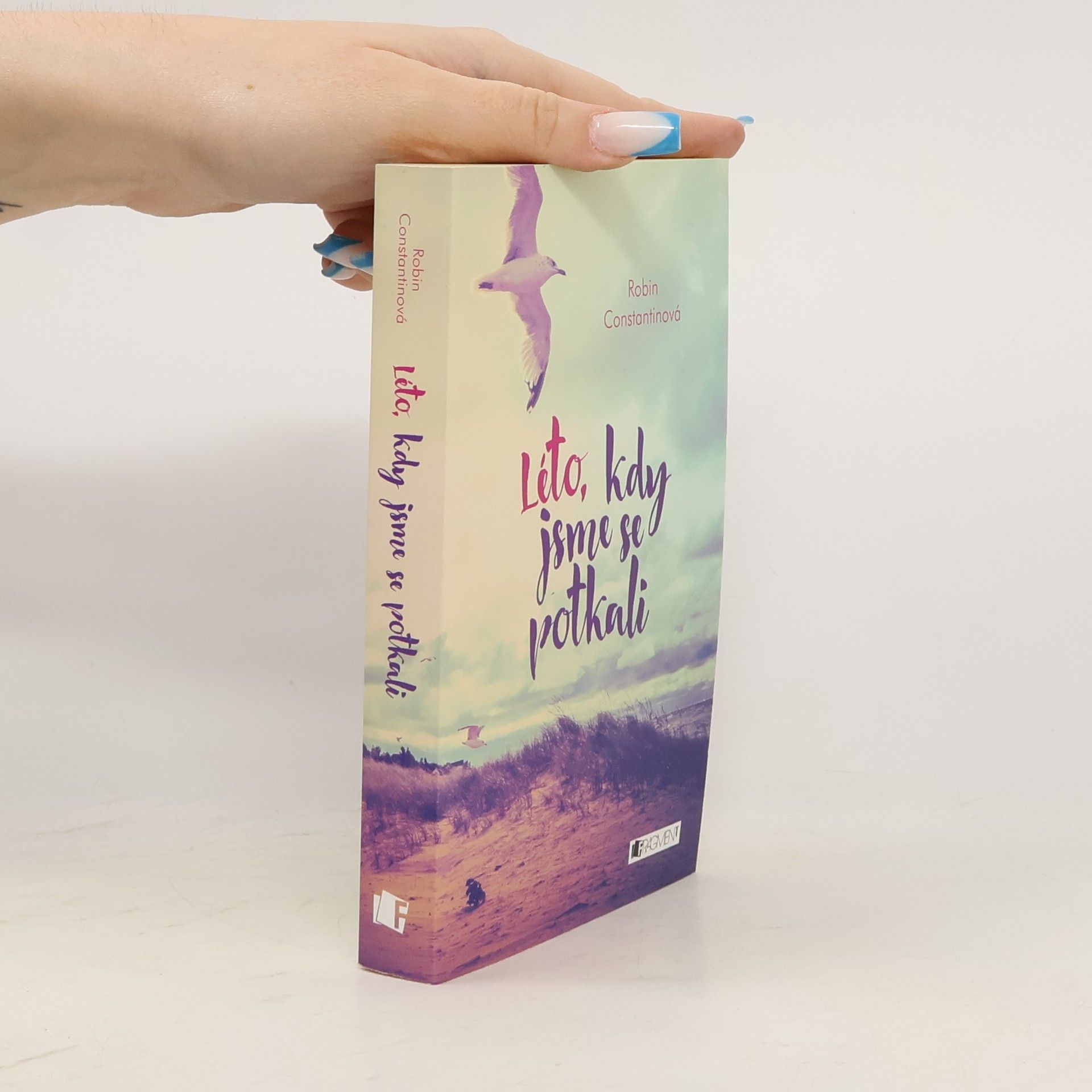 Robin Constantine Léto, kdy jsme se potkali