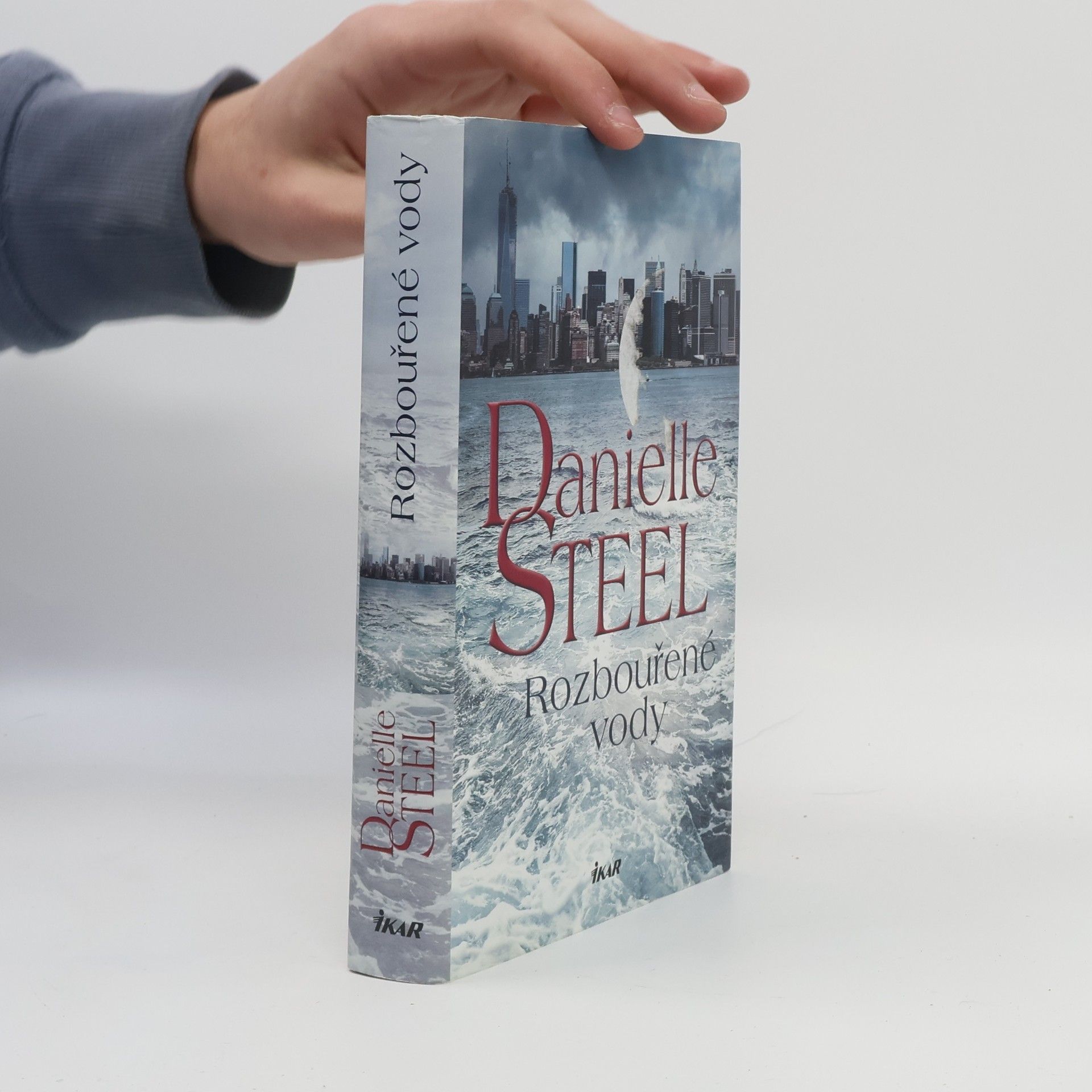 Danielle Steel Rozbouřené vody