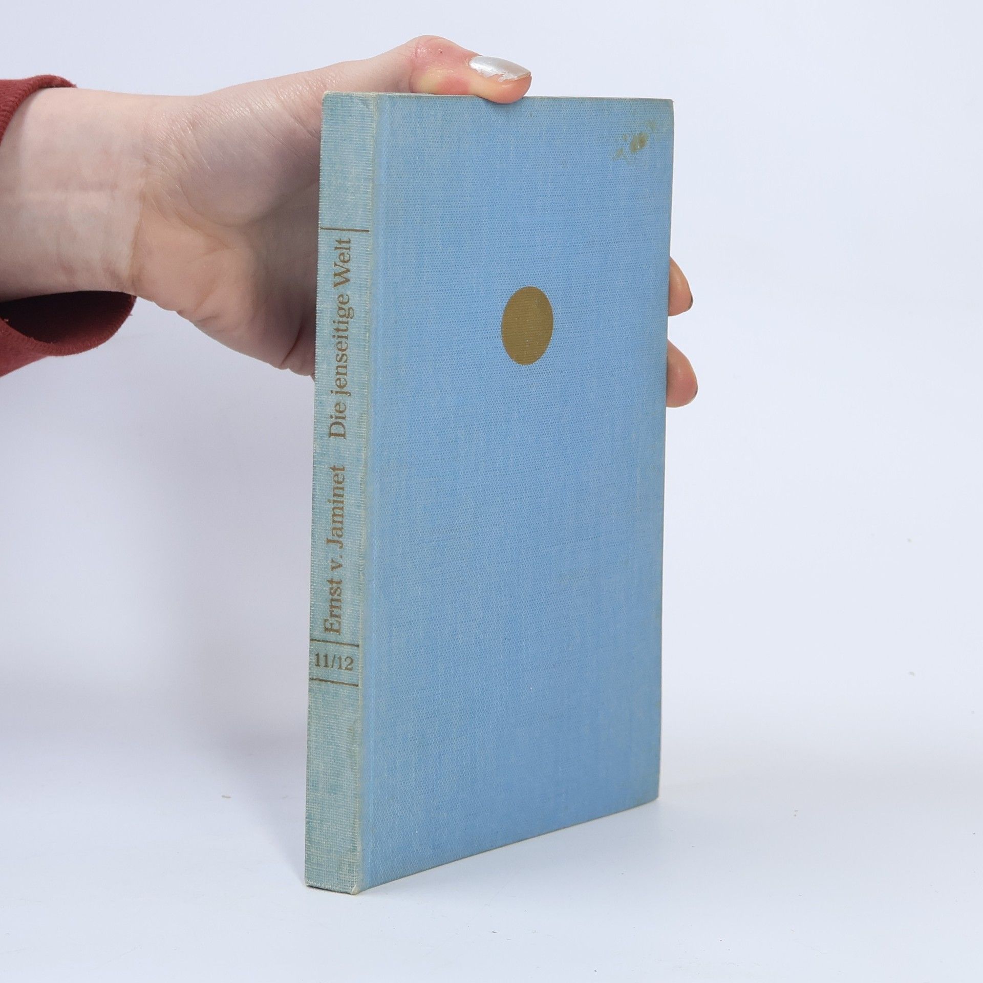 Ernst von Jaminet Die Jenseitige Welt