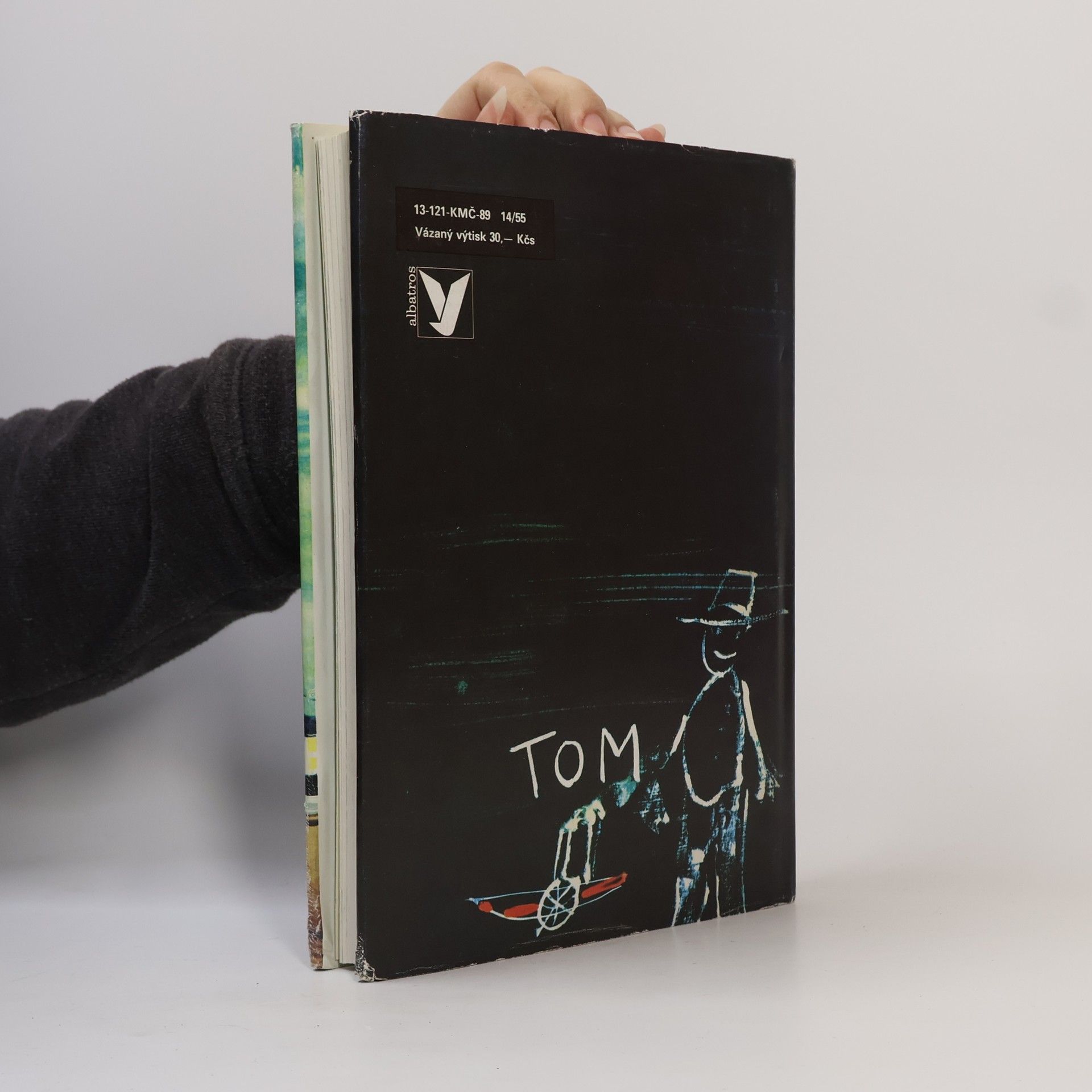 Mark Twain Dobrodružství Toma Sawyera