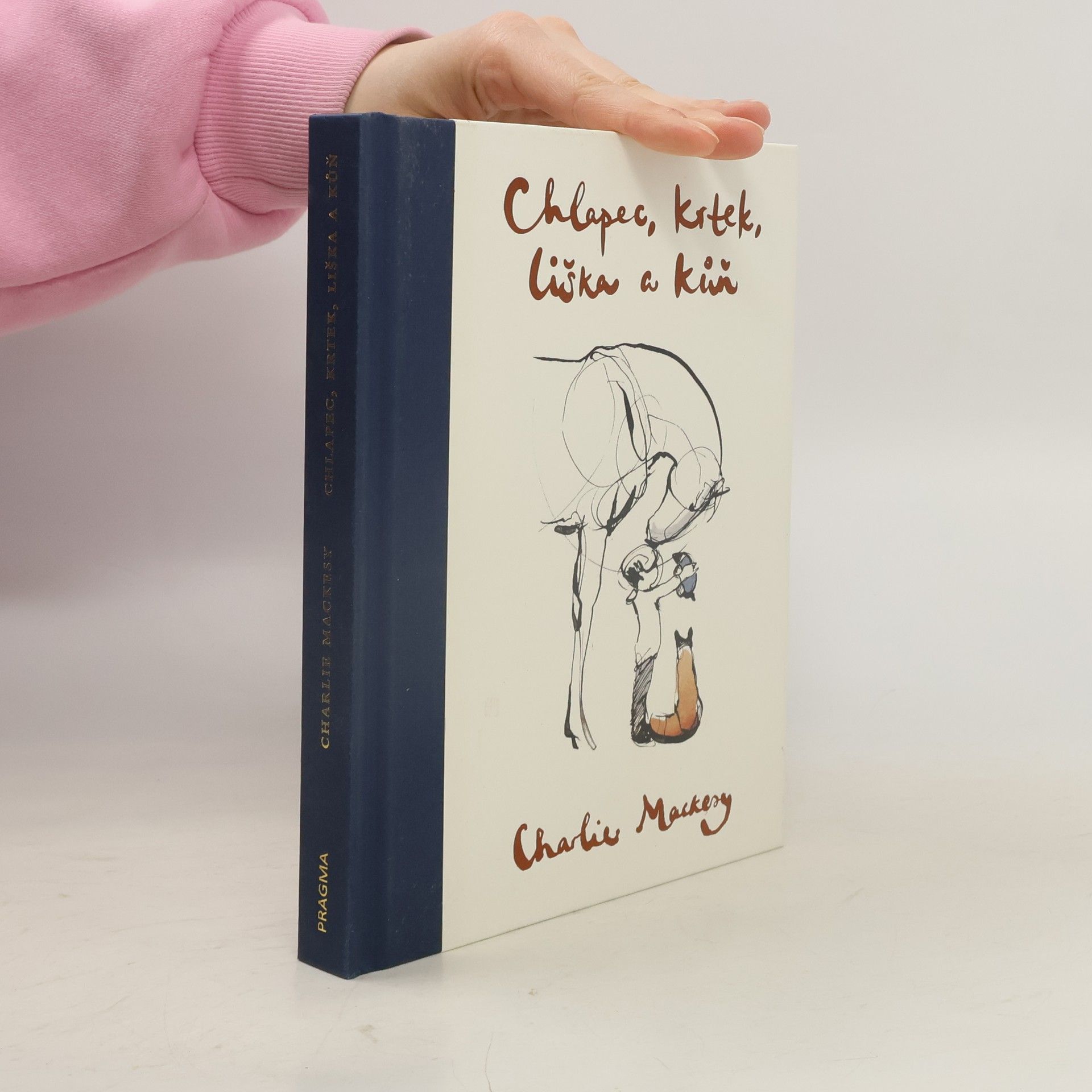 Charlie Mackesy Chlapec, krtek, liška a kůň