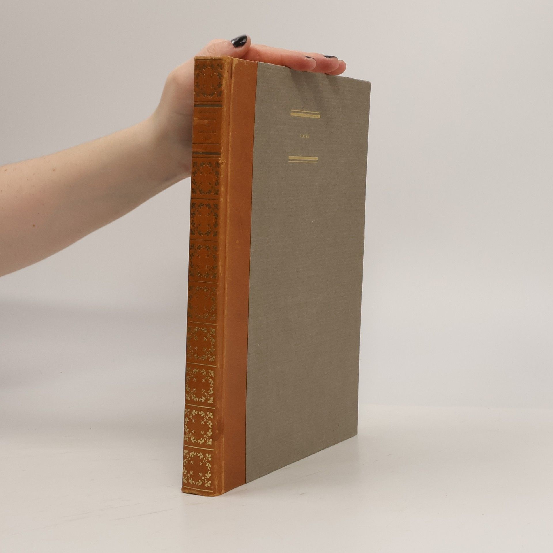 Domenico Batacchi Elvira und andere Novellen