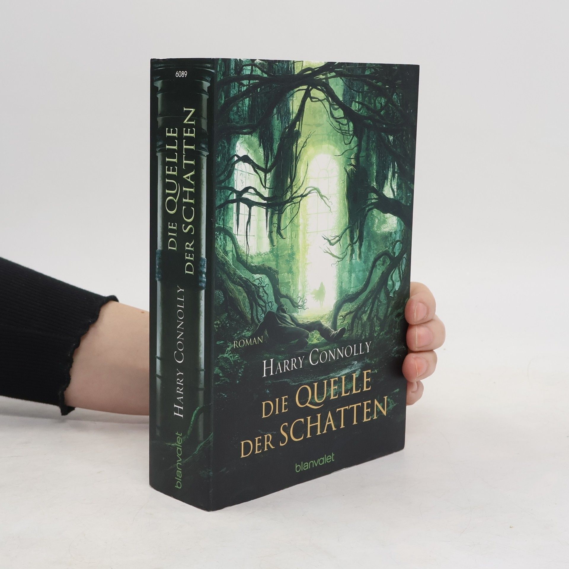 Harry Connolly Die Quelle der Schatten