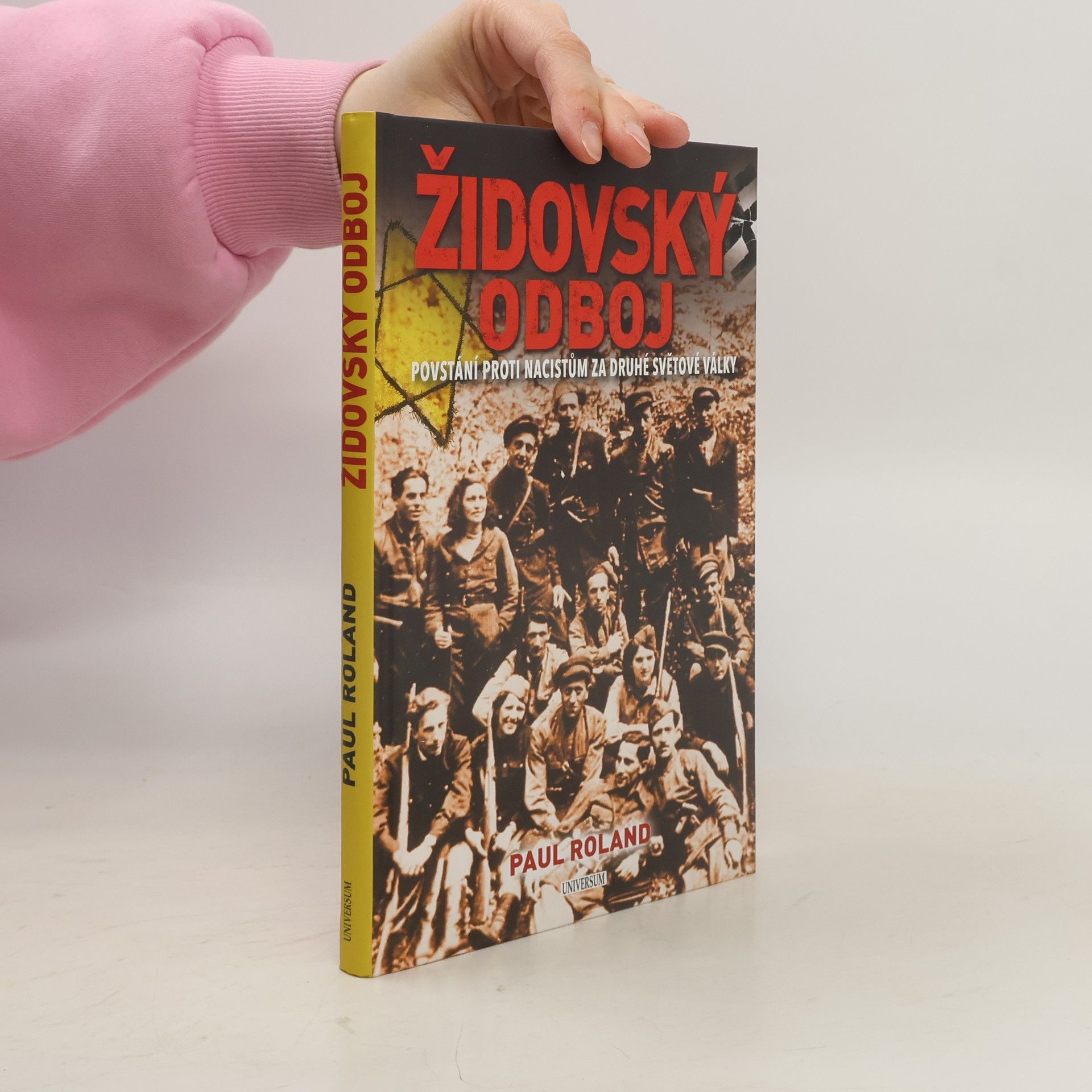 Paul Roland Židovský odboj: Povstání proti nacistům za druhé světové války