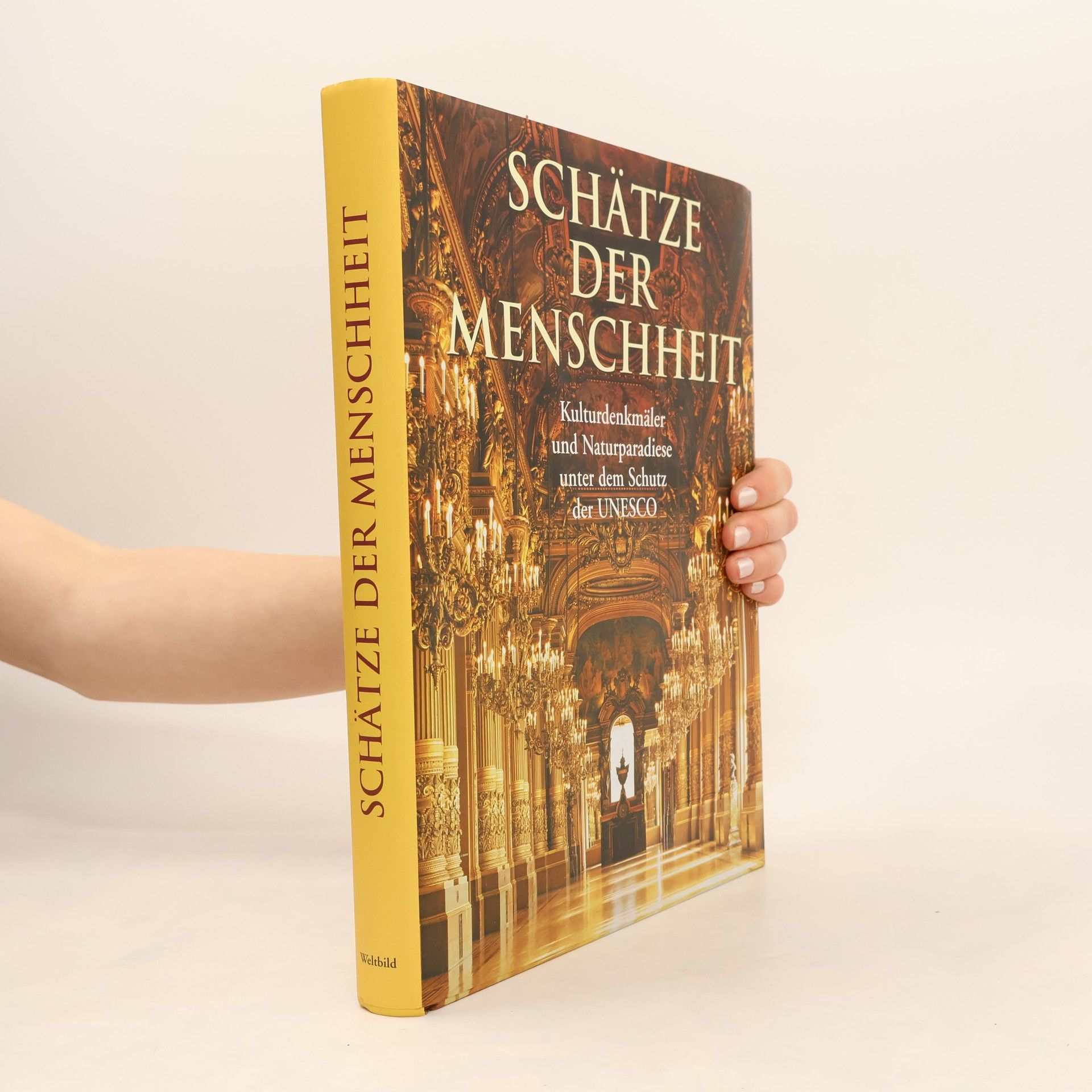 Autorenkollektiv Schätze der Menschheit