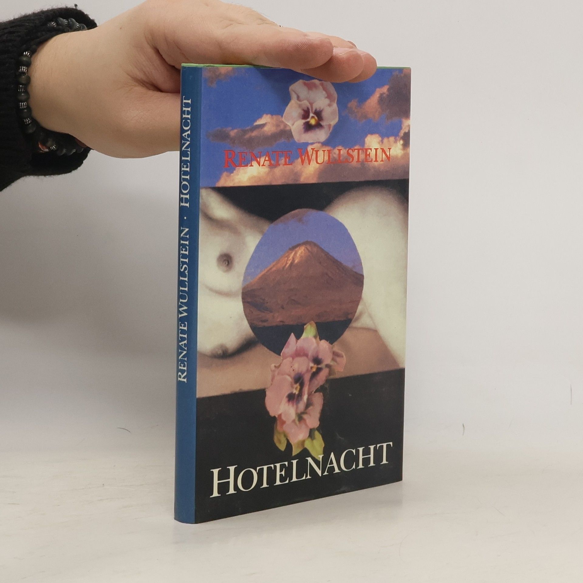 Renate Wullstein Hotelnacht. Erzählungen