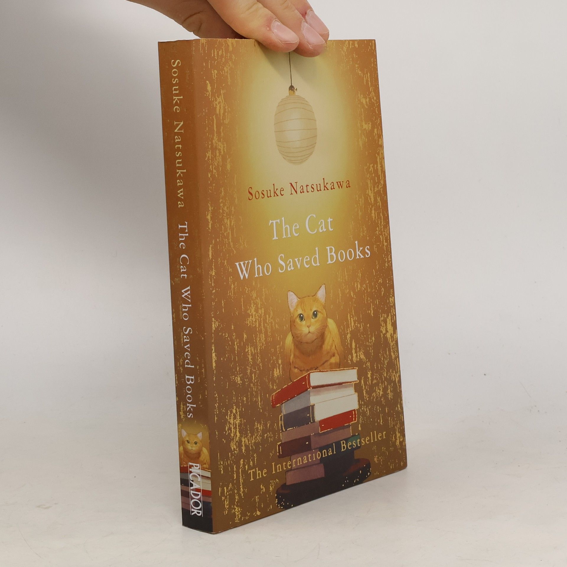 Sōsuke Natsukawa The cat who saved books