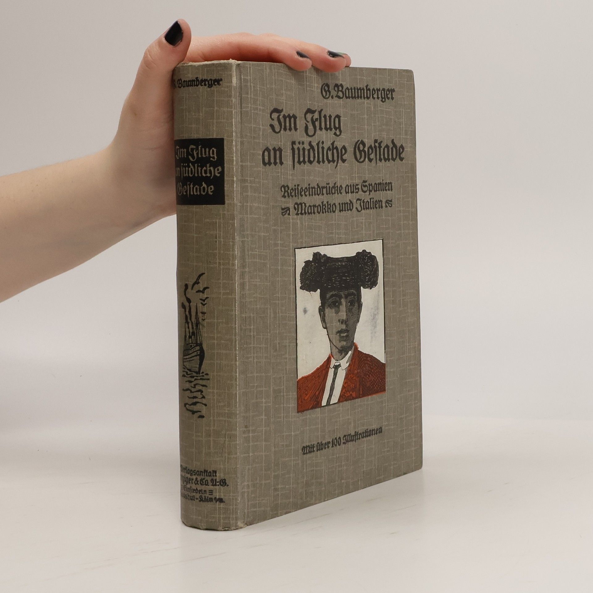Georg Baumberger Im Flug an südliche Gestade