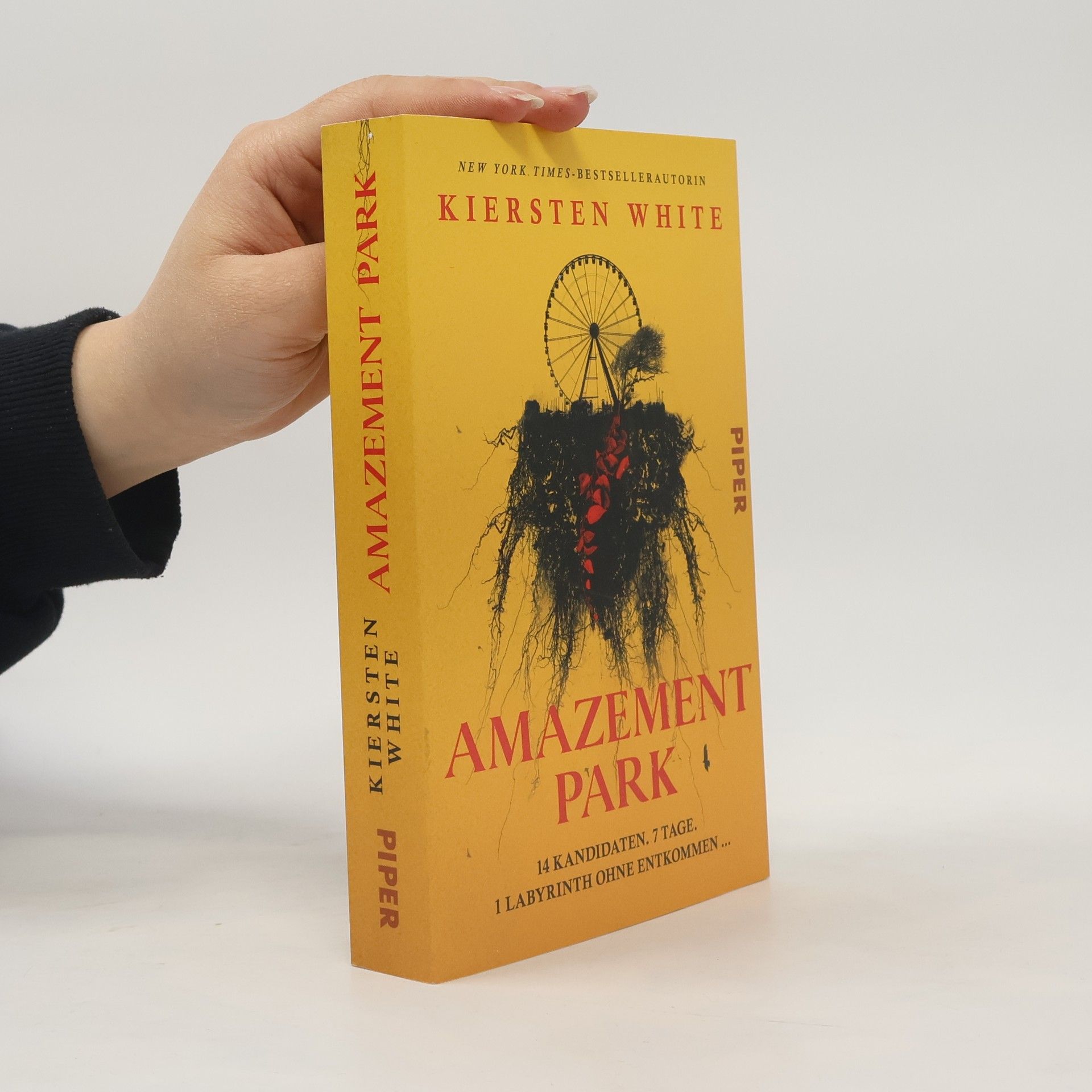Kiersten White Amazement Park