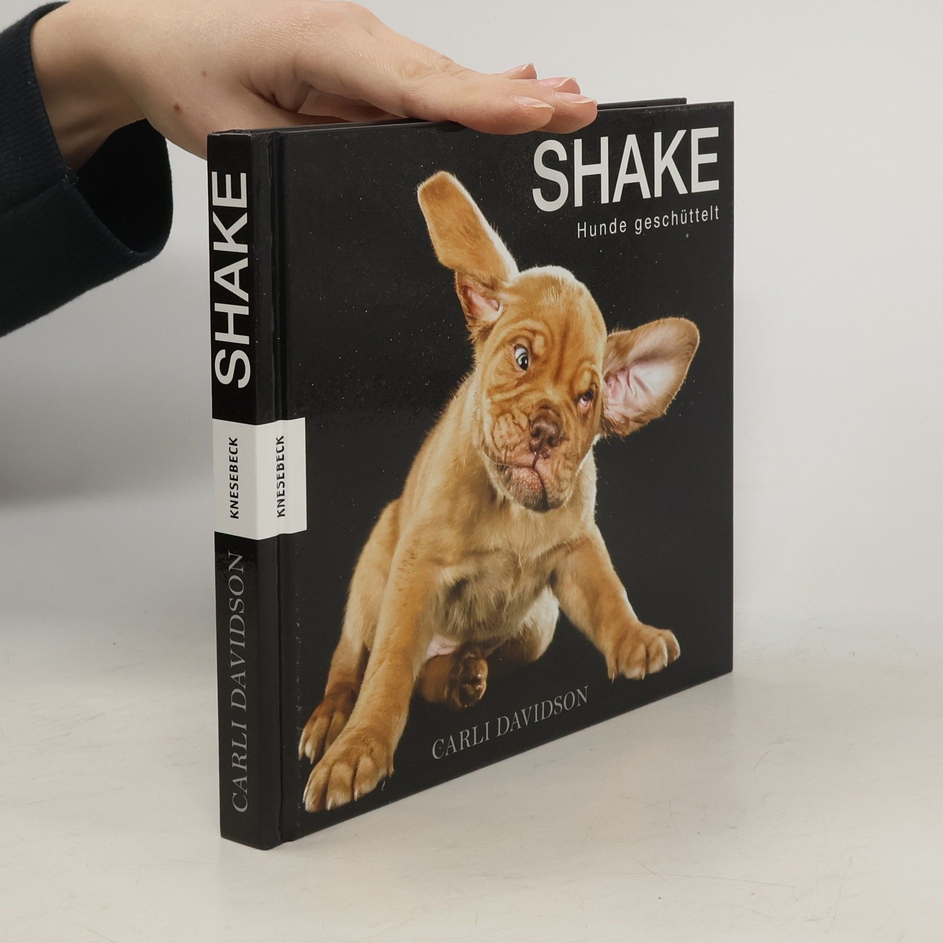 Carli Davidson Shake. Hunde geschüttelt.
