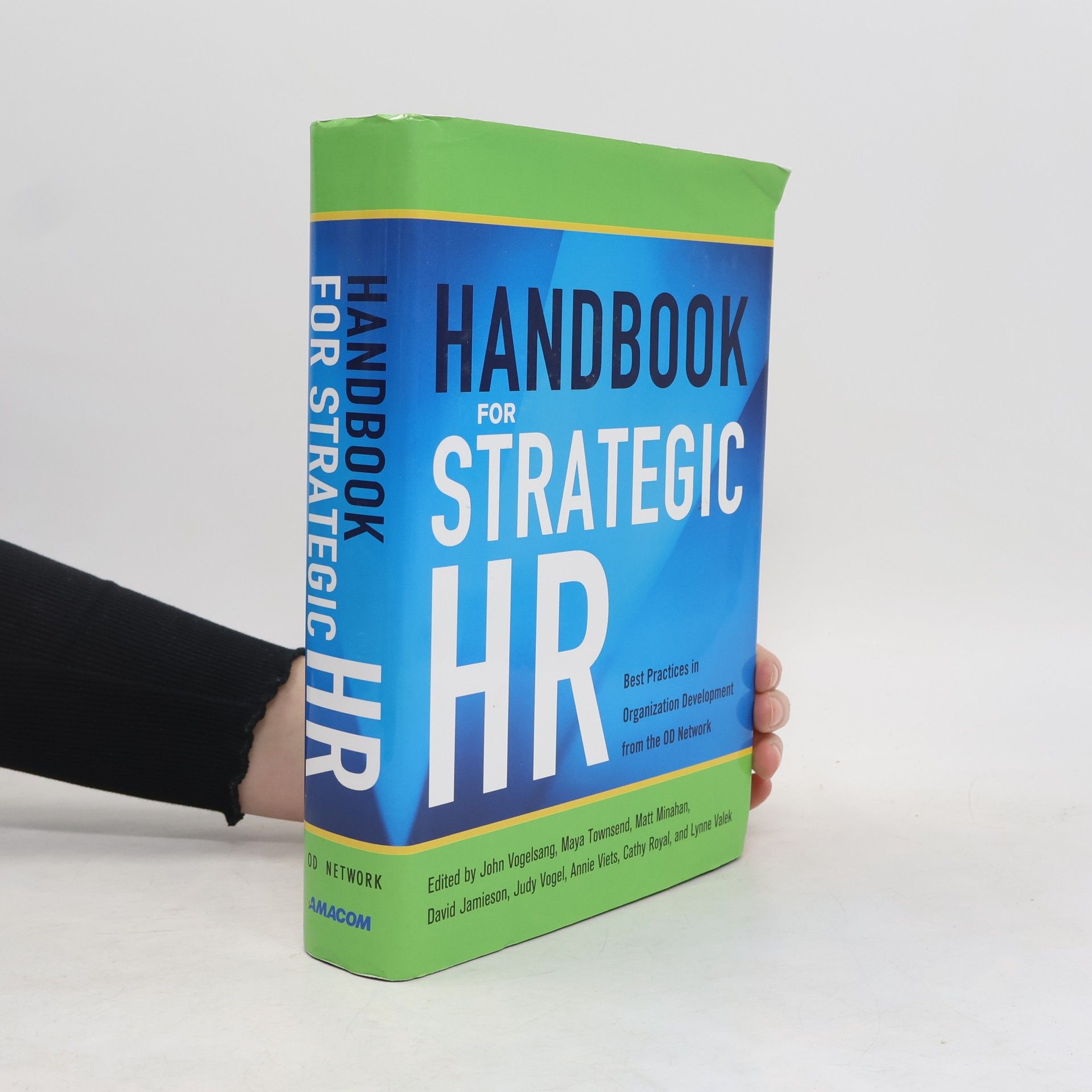John Vogelsang Handbook for Strategic HR