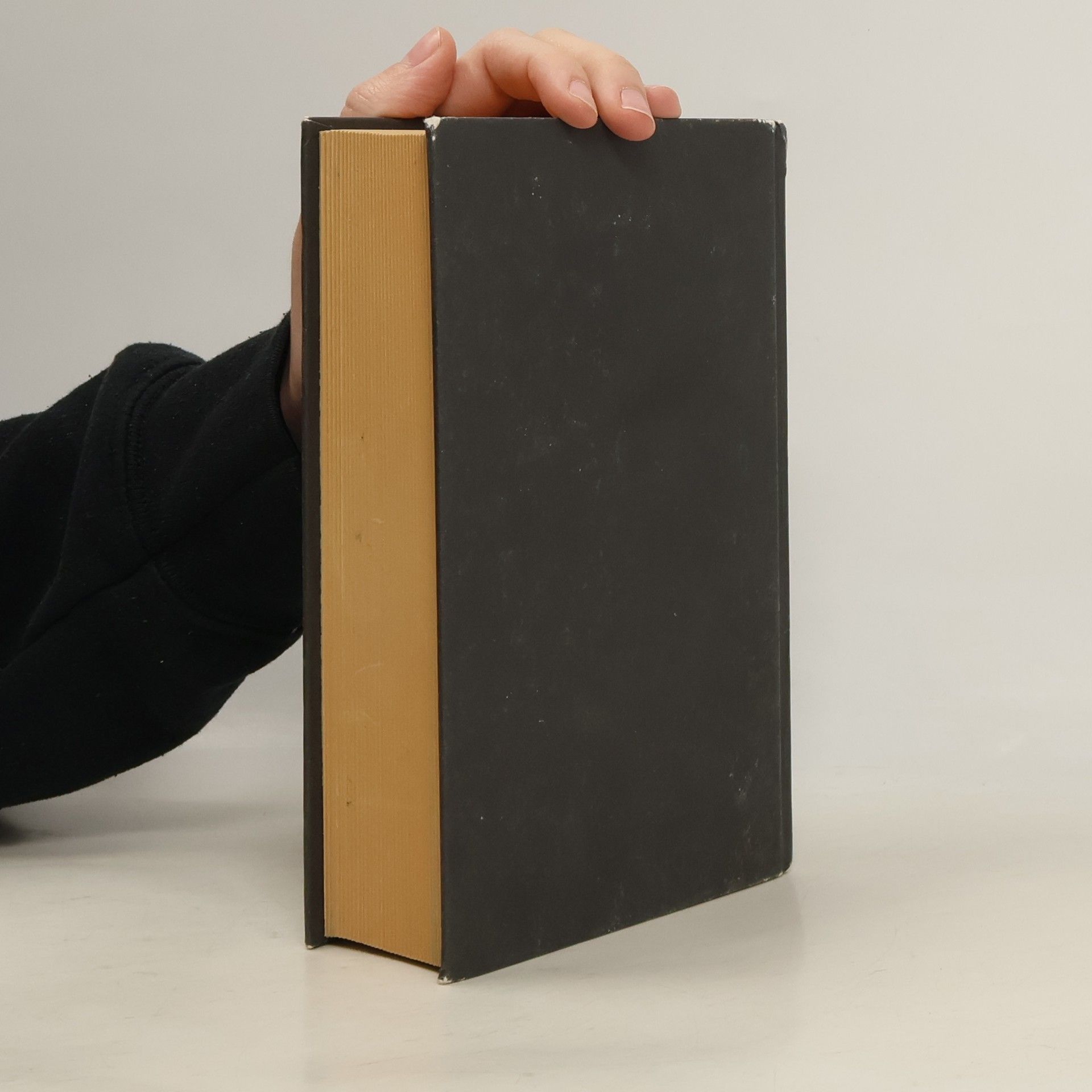 John Irving Svět podle Garpa