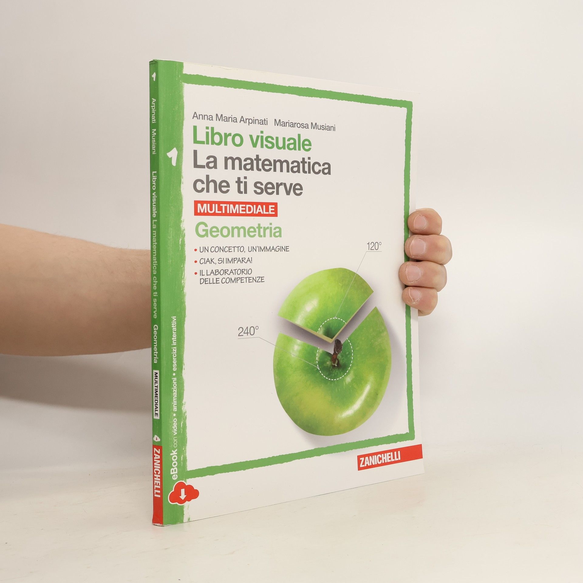 Anna Maria Arpinati Libro visuale La matematica che ti serve