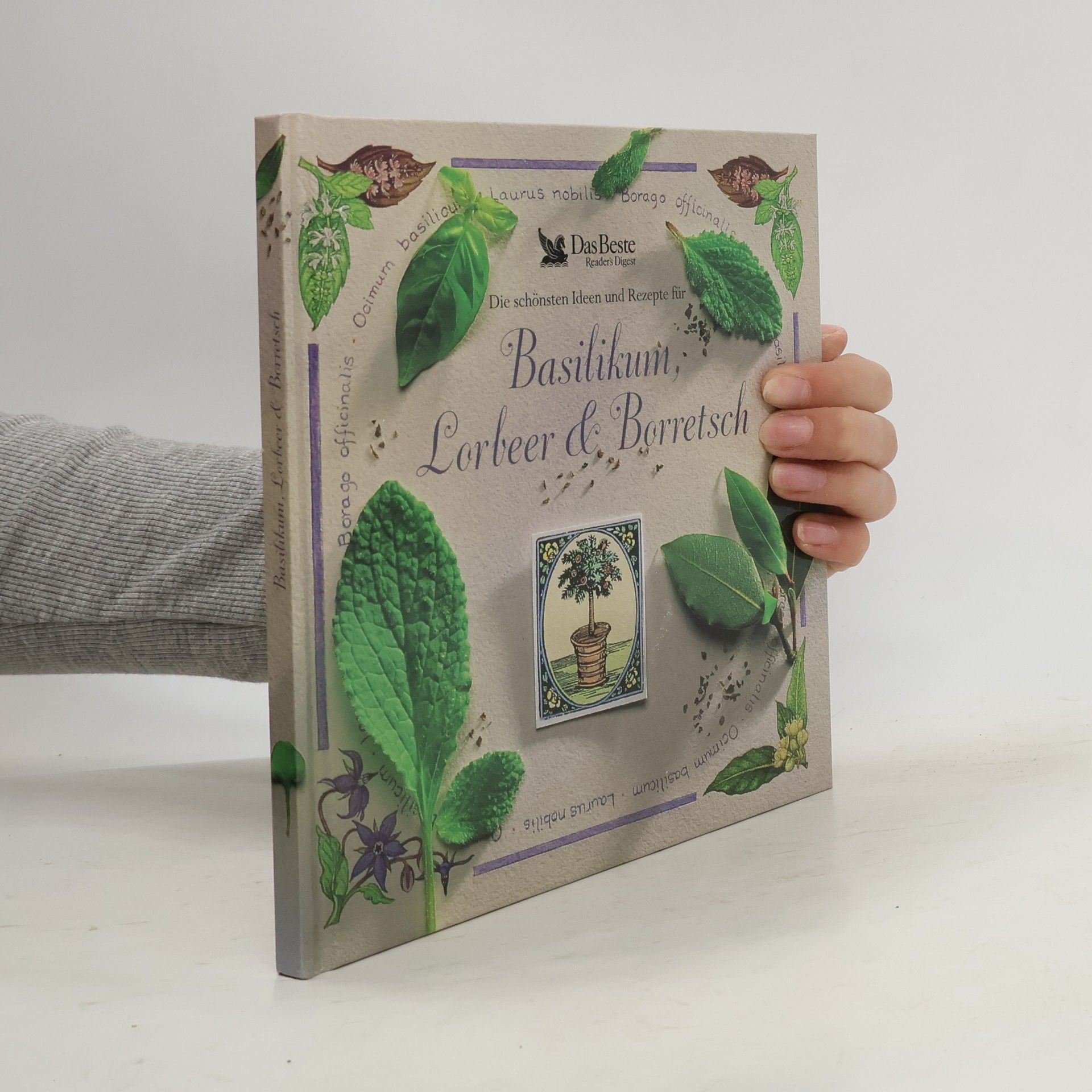 Hazel Evans Die schönsten Ideen und Rezepte für Basilikum, Lorbeer & Borretsch