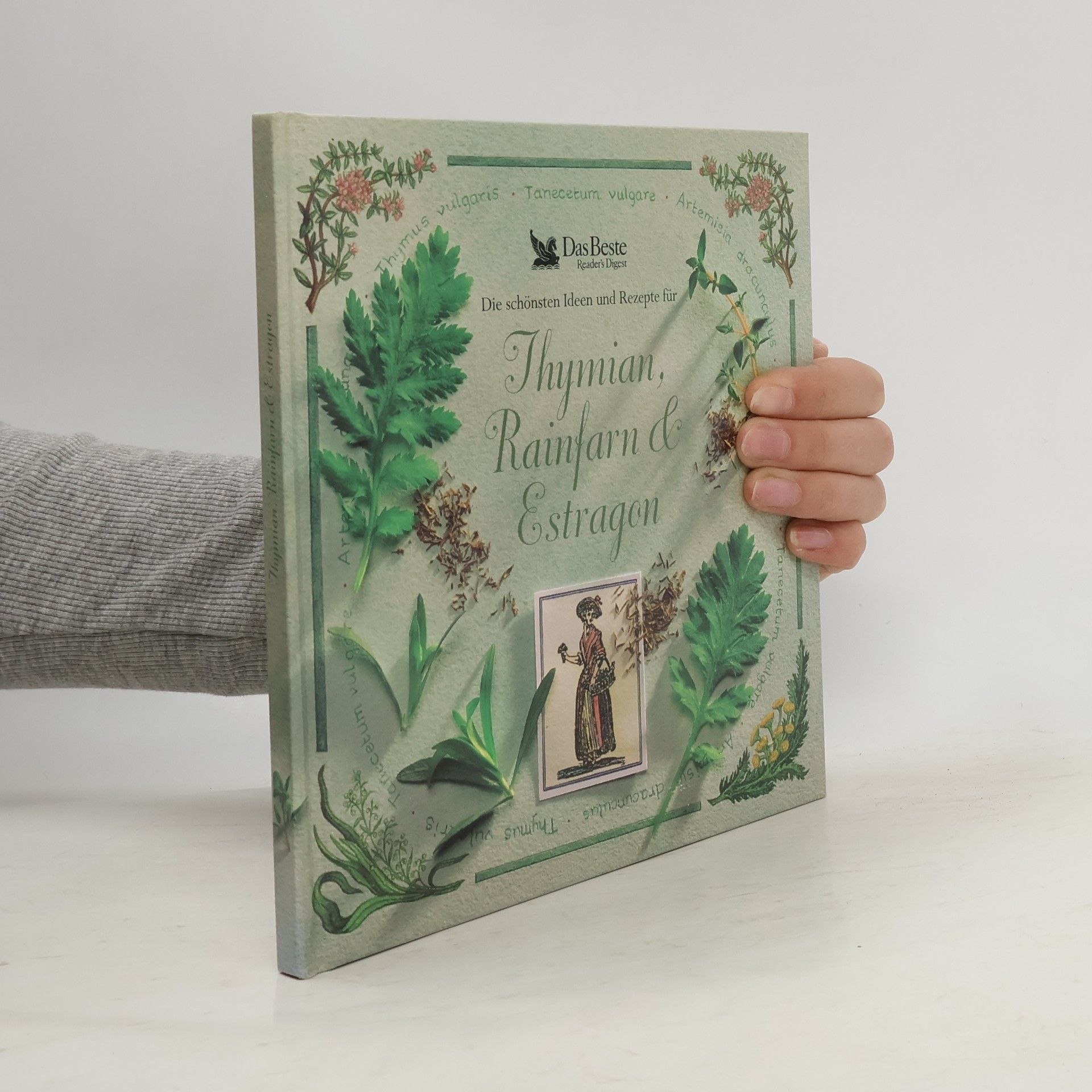 Hazel Evans Die schönsten Ideen und Rezepte für Thymian, Rainfarn & Estragen