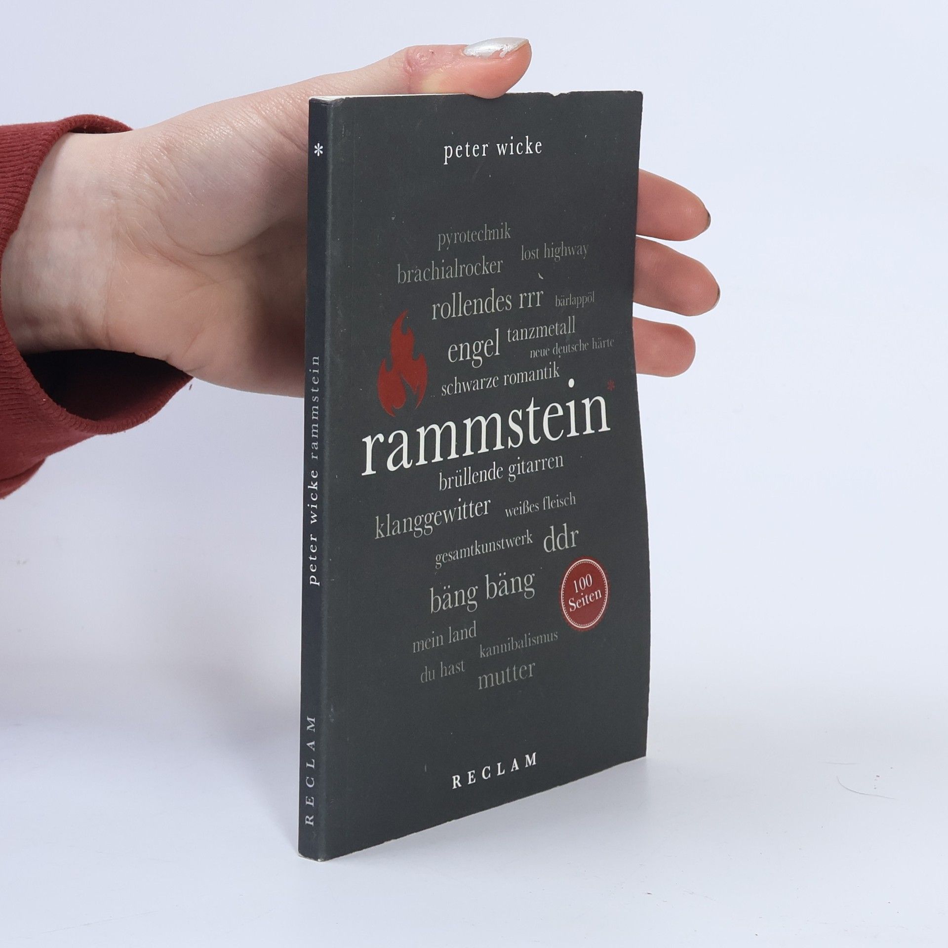 Peter Wicke Rammstein, 100 Seiten