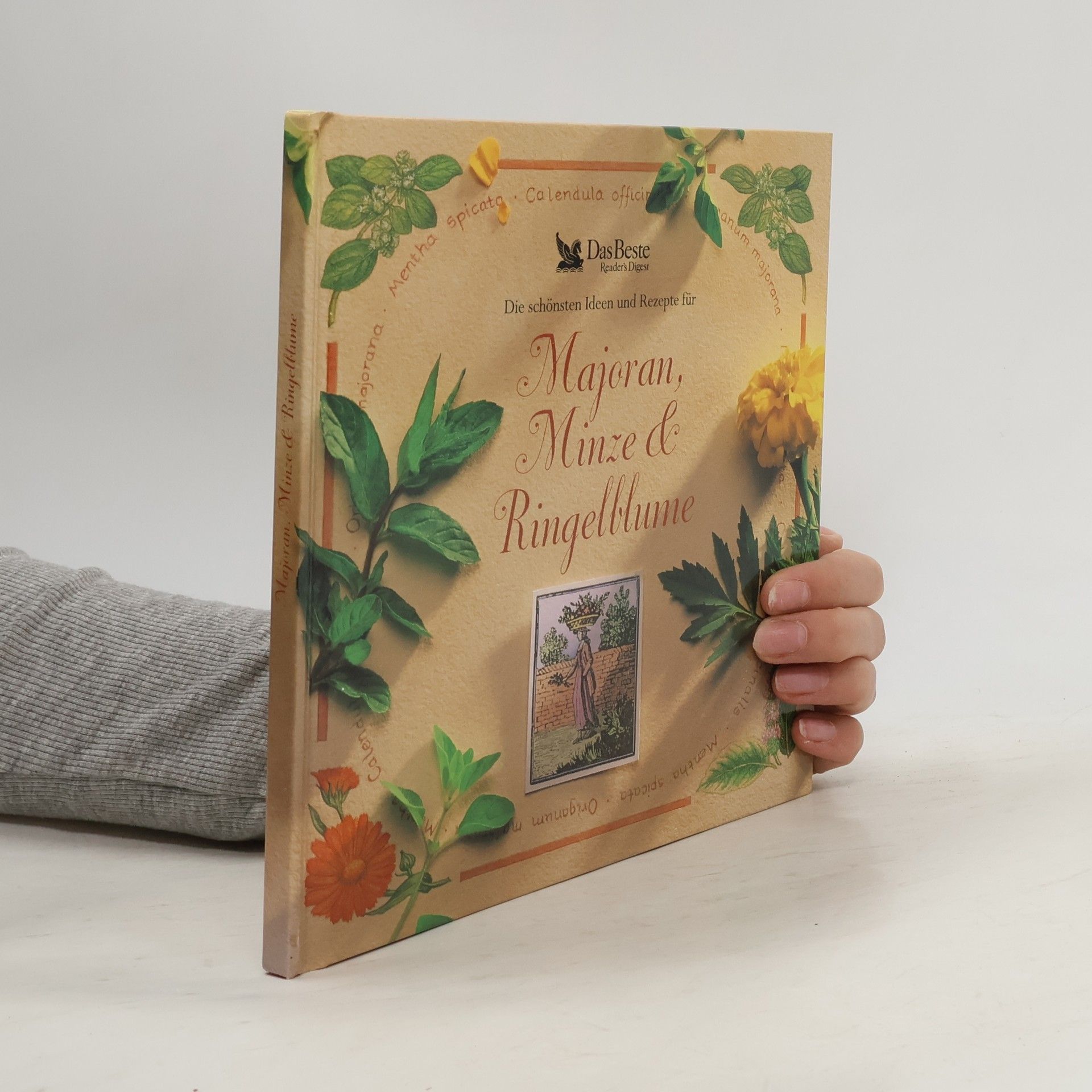 Autorenkollektiv Die schönsten Ideen und Rezepte für Majoran, Minze & Ringelblume