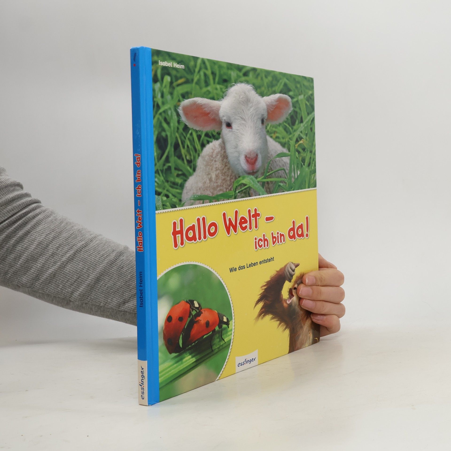 Isabel Heim Hallo Welt - ich bin da!