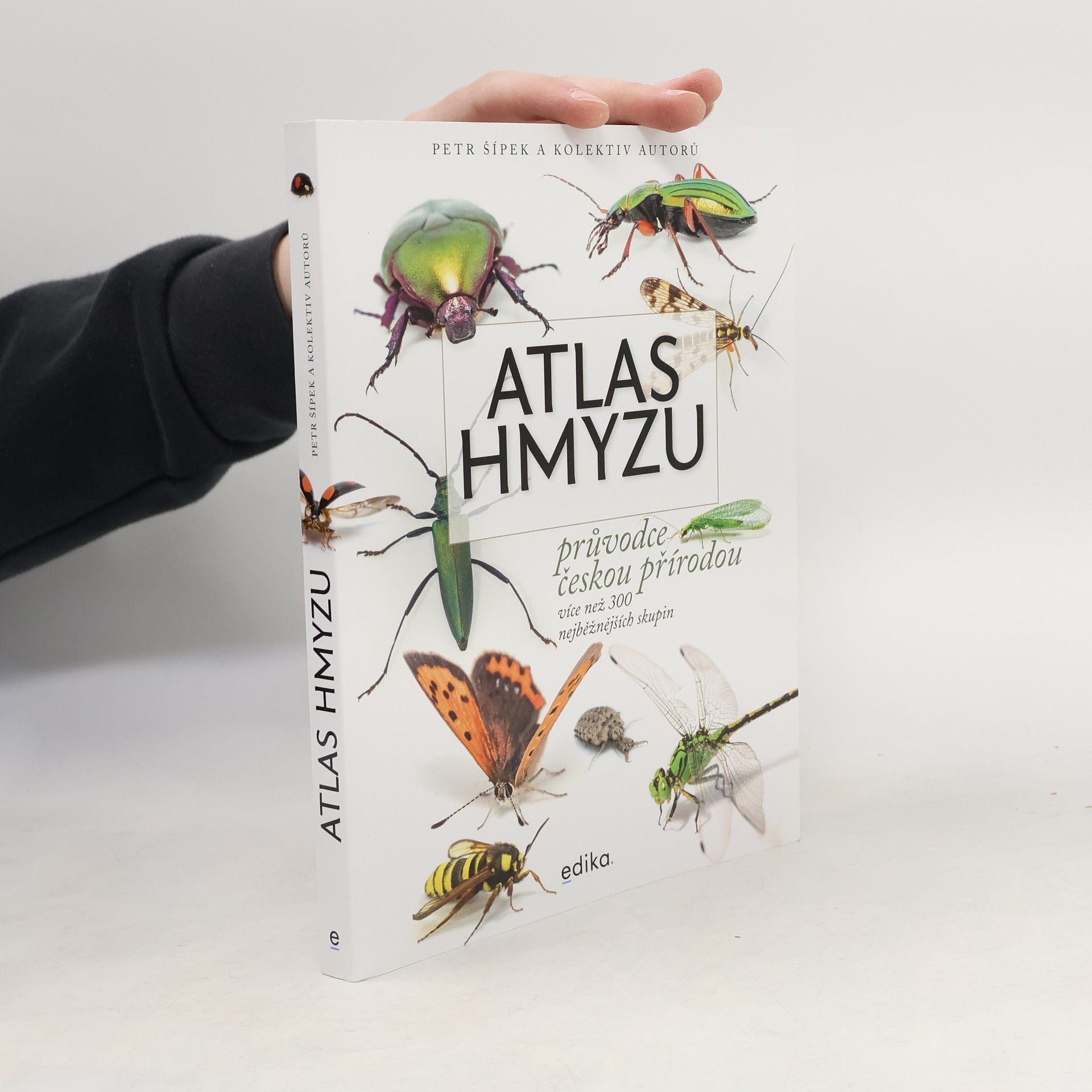 Petr Šípek Atlas hmyzu